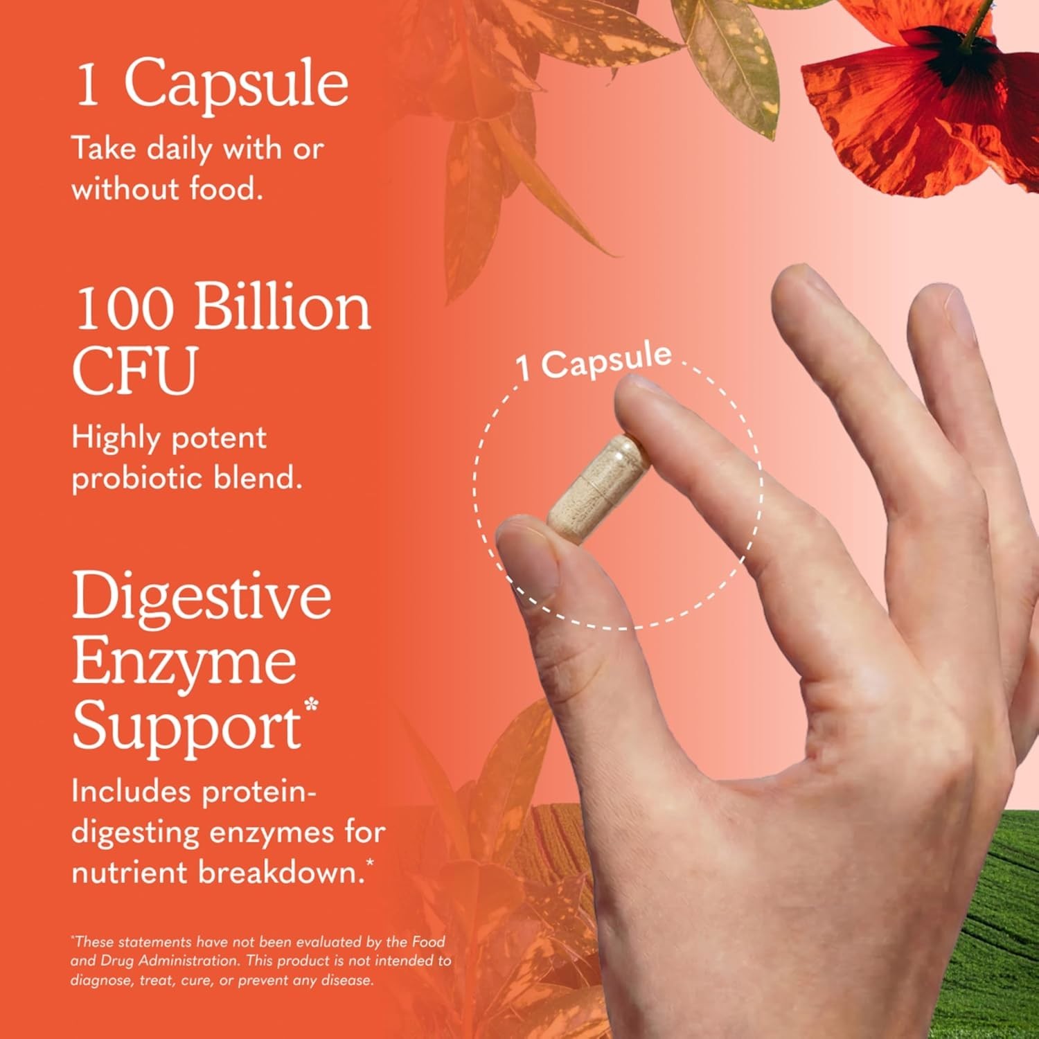 Garden of Life Raw Probiotics Ultimate Care 100 Billion 30 Veg Capsules