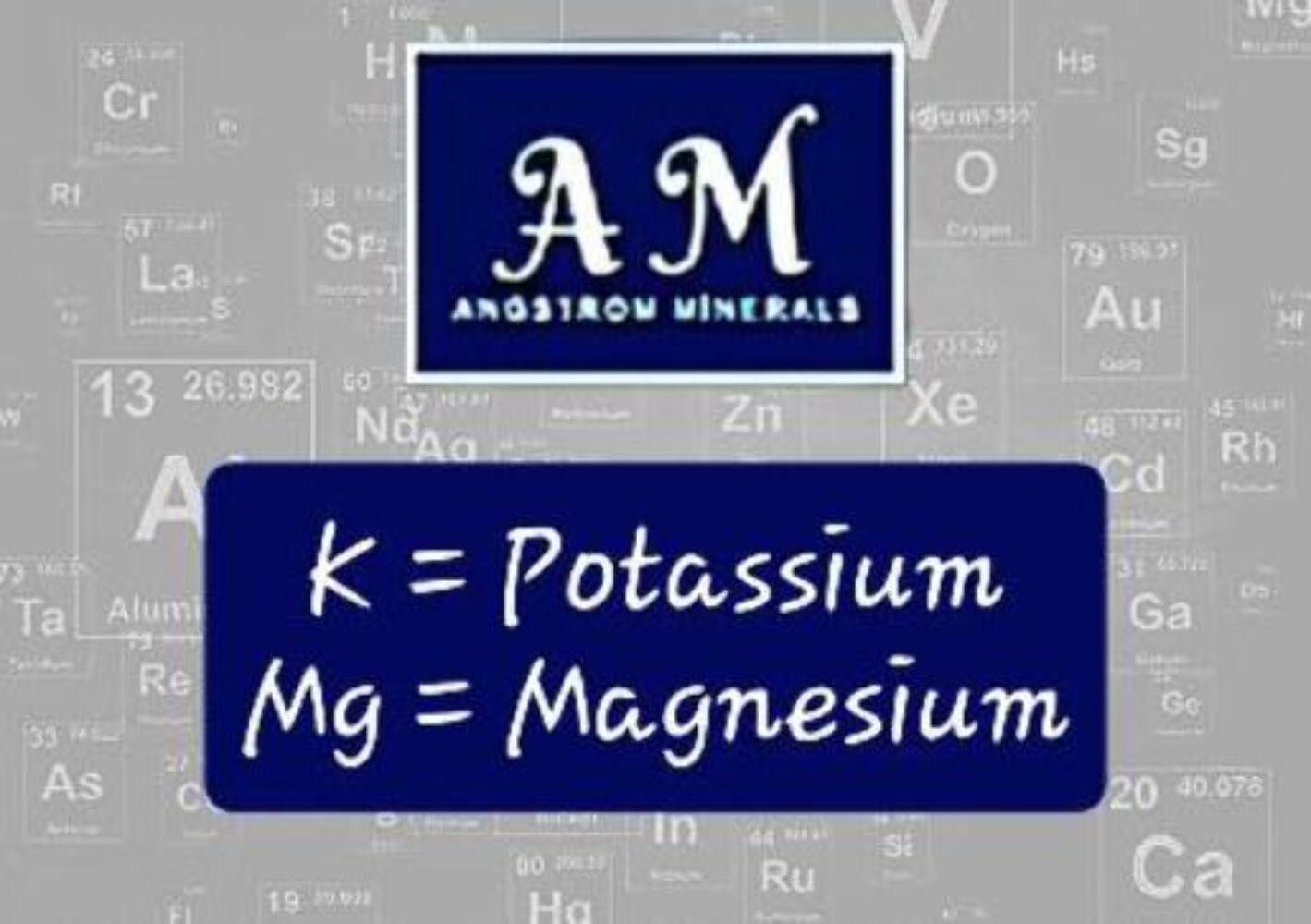32 oz Ionic Pota-Mag Supplement by Angstrom Minerals