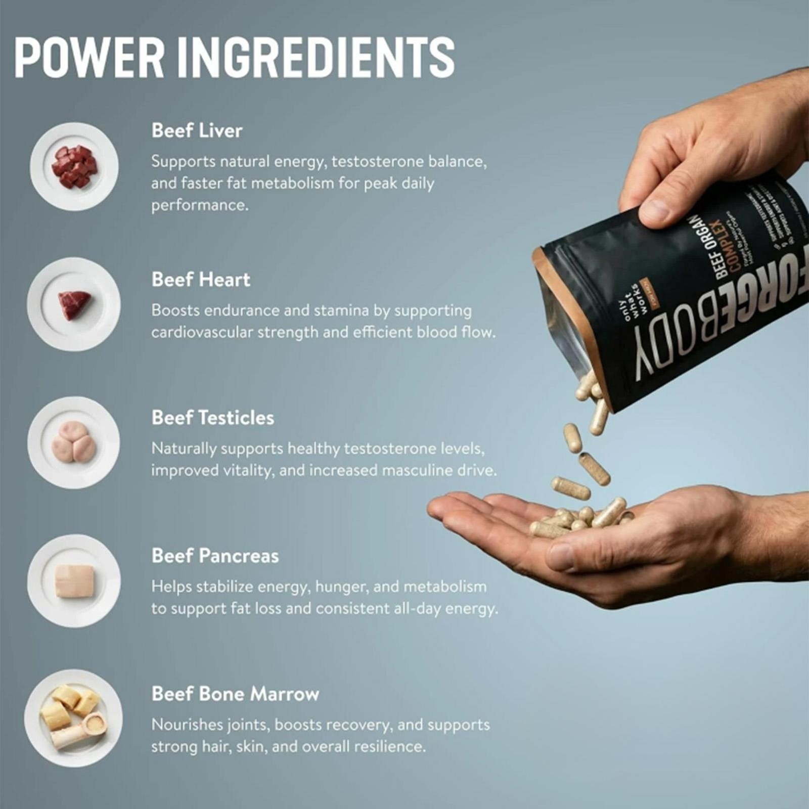FORGEBODY® Beef Organ Complex 60 Capsules – Grass Fed Beef Organ Supplement