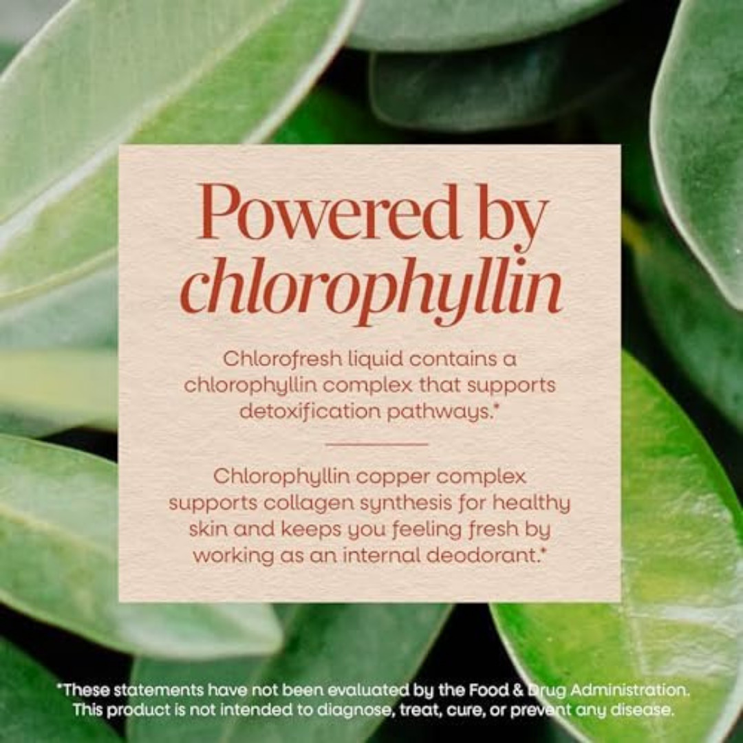 Nature’s Way Chlorofresh, Liquid Chlorophyll, Healthy Skin & Body Detox 16 Fl Oz