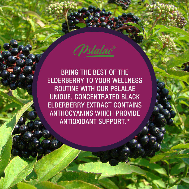 Elderberry Capsules 3200mg – with Black Elder Extract – Energy & Immune Booster