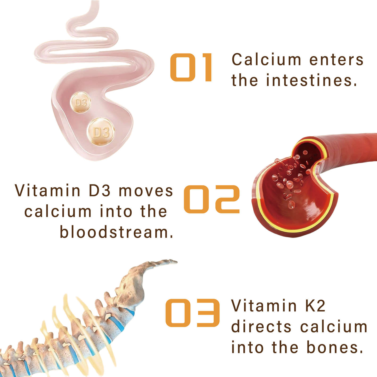 Vitamin K2 (MK7) with D3 5,000IU Supplement,60 Gummies, Immune Health 02/07/2027