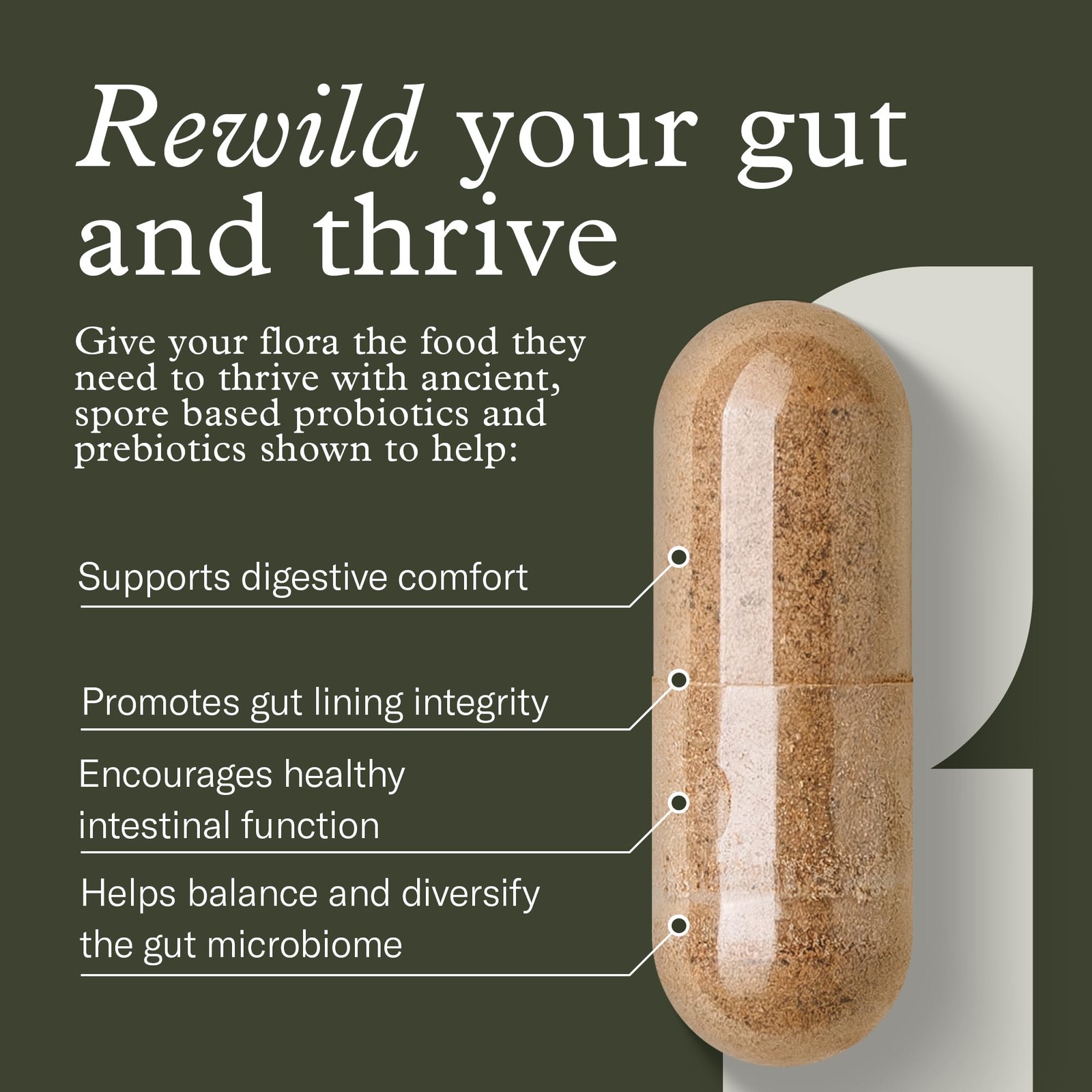 Terraflora Daily Care synbiotic of probiotics and prebiotics for Women and Me…