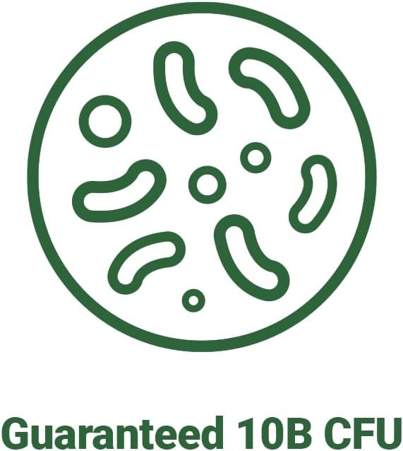 Bnrthin S30, Lactobacillus Gasseri BNR17, 10 Billion CFU Guaranteed, 30Capsules