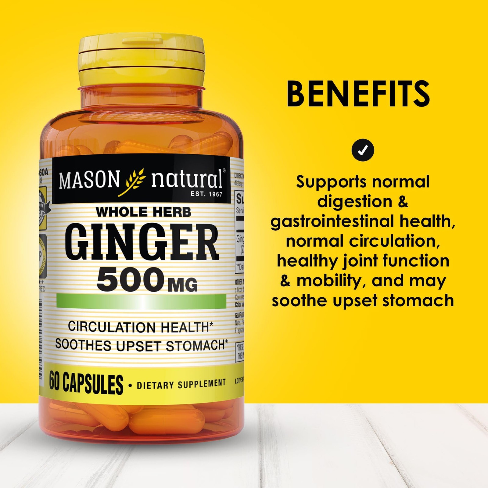 Mason Natural Whole Herb Ginger 500 mg – Healthy Circulation Support and May