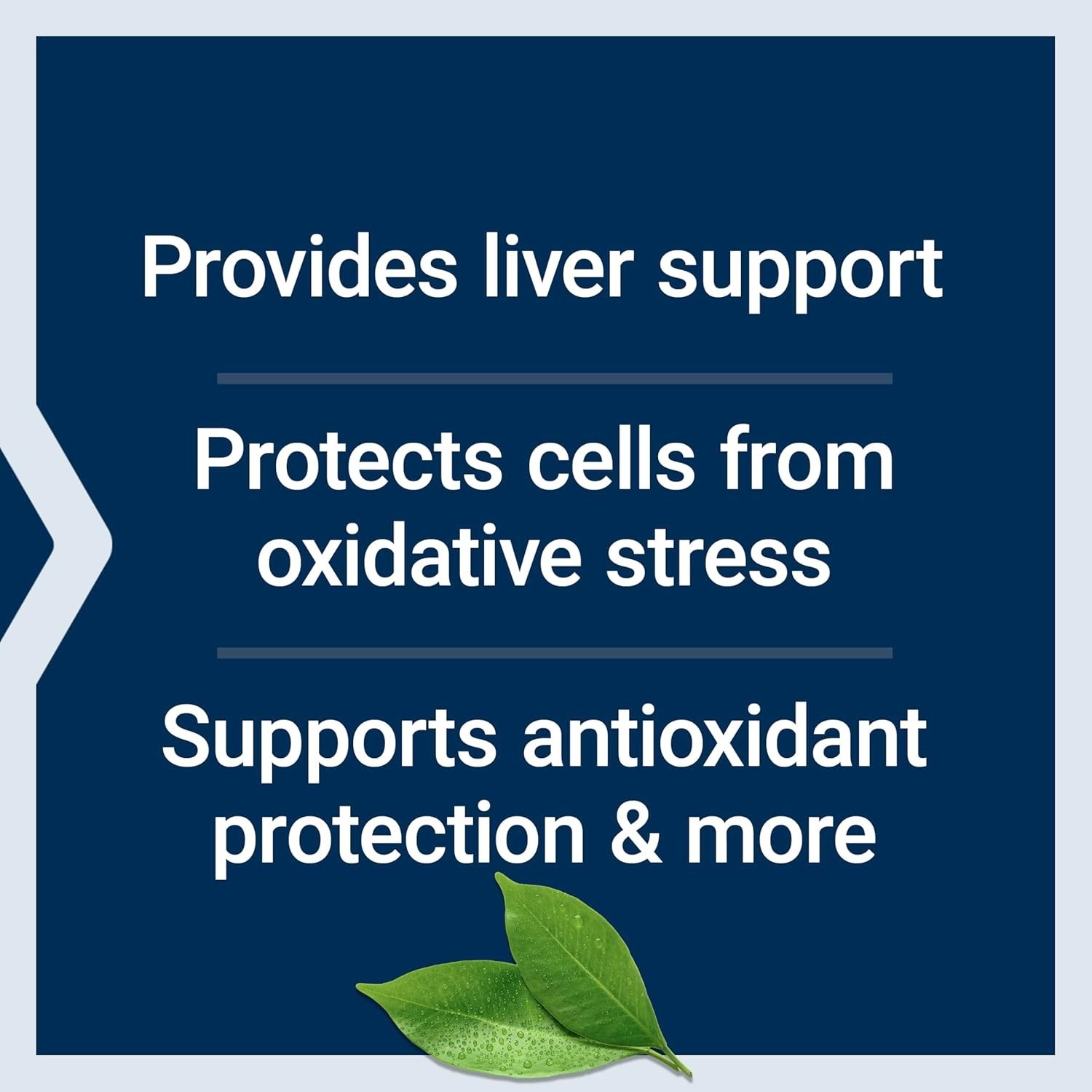 L-Glutathione, Cysteine and Vitamin C 100 Caps Amino Acid Immune Life Extension