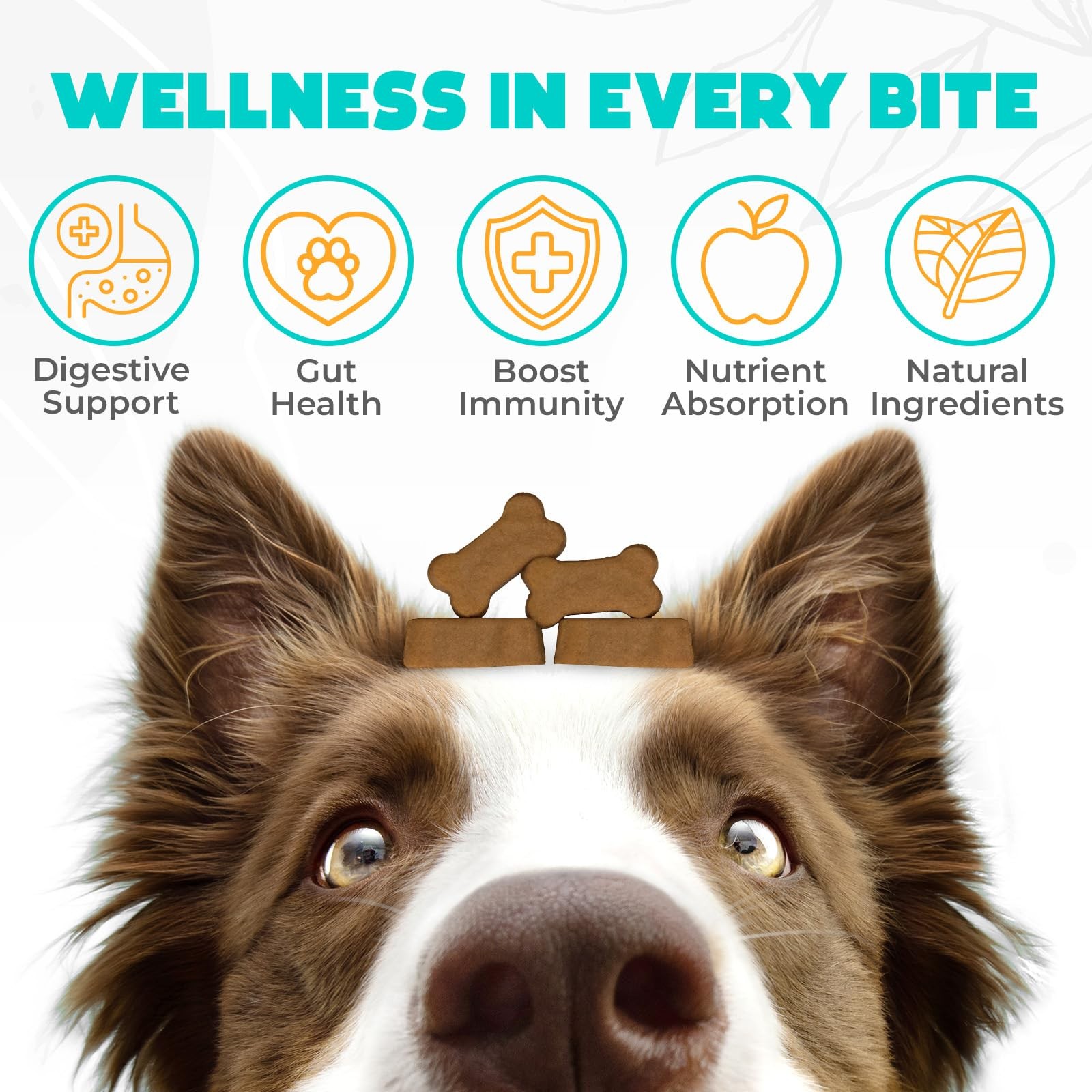 Probiotics for Dogs Chews 150PCs – Digestive, Gut Health & Diarrhea Brown