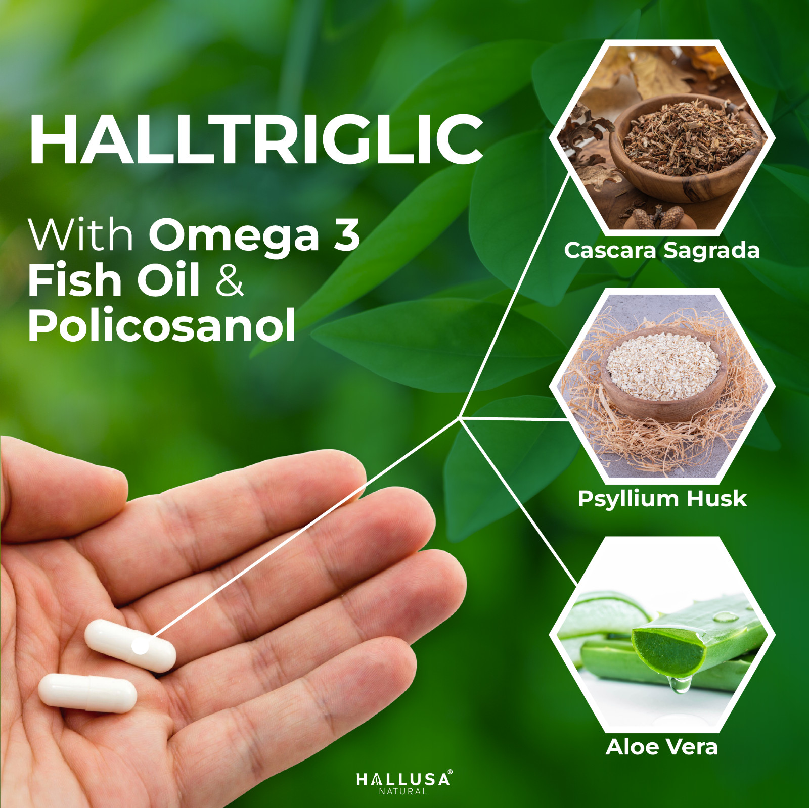 HALLTRIGLIC – Heart Health – Lower Triglycerides & Cholesterol – 100 Tabs