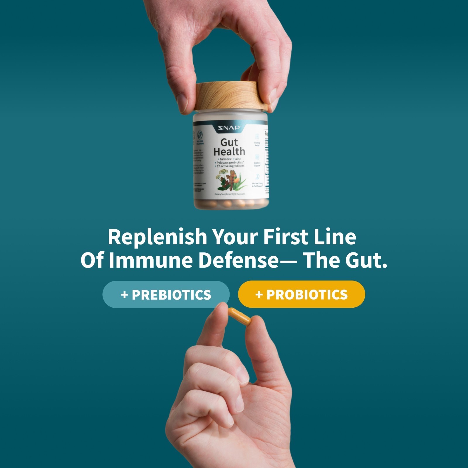 SNAP Gut Health Digestive Health Probiotics Enzymes Turmeric PYLOPASS H Pylori