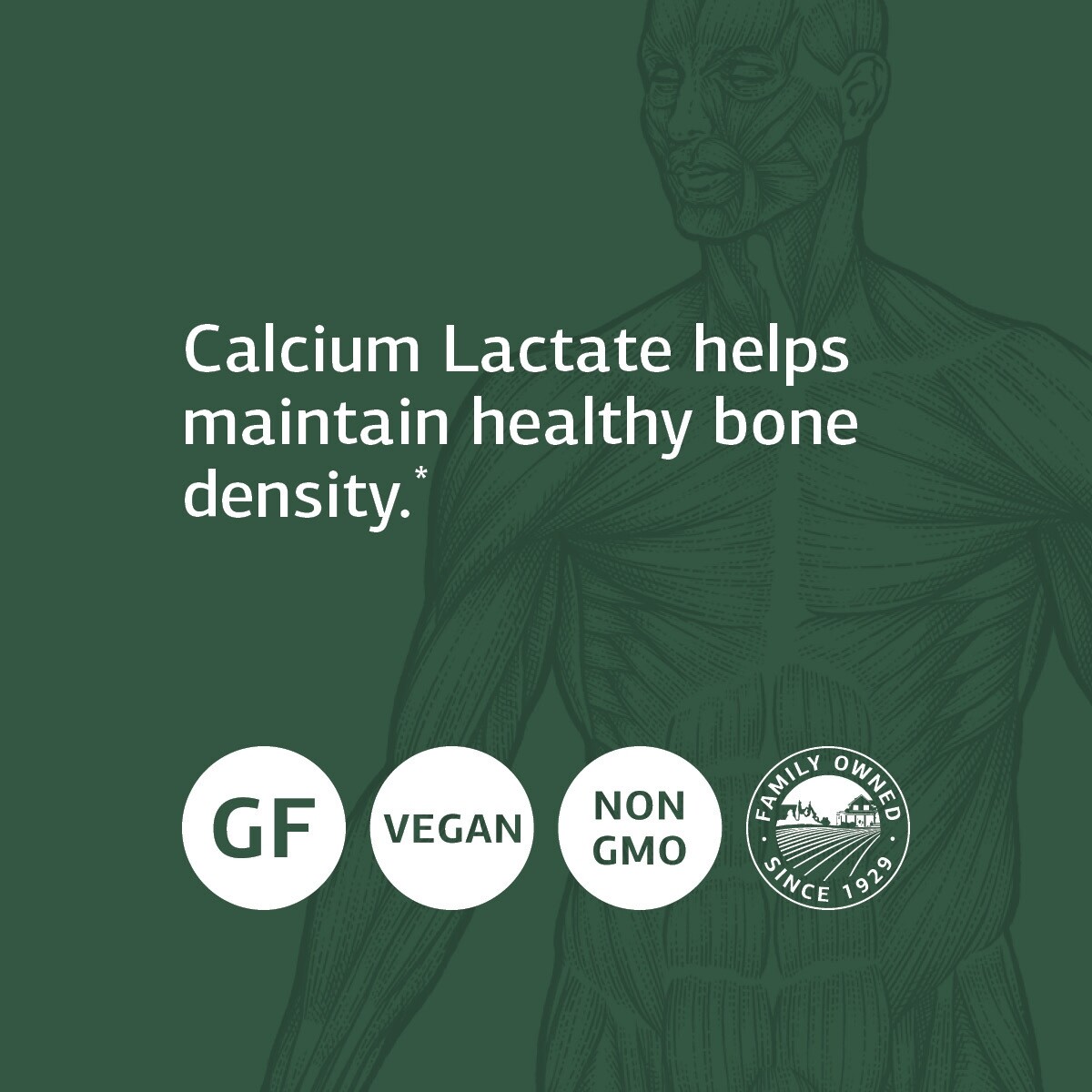 Standard Process Calcium Lactate Immune Support, 180 Tablets