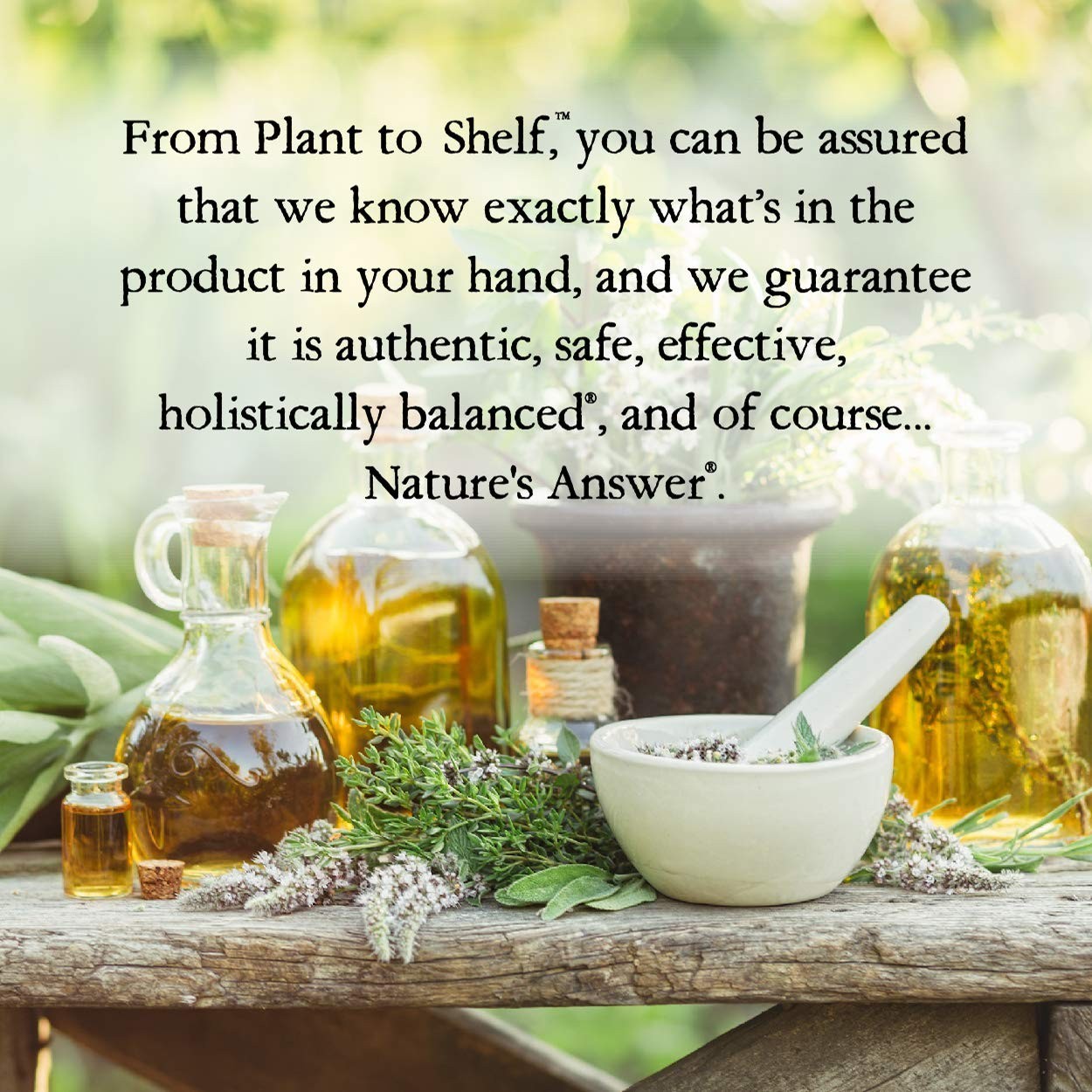 Nature’s Answer 2000mg Black Walnut & Wormwood for Gut Health & Vitality