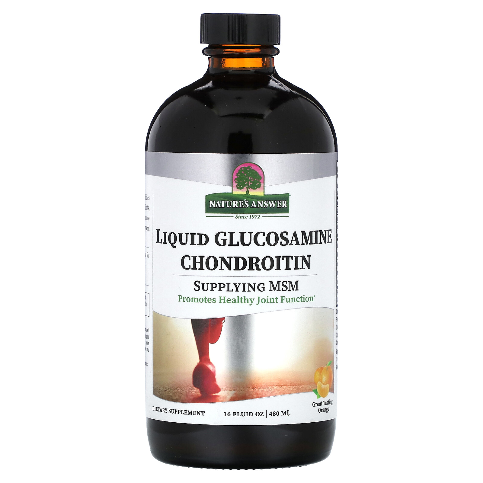 Liquid Glucosamine Chondroitin, Orange, 16 fl oz (480 ml)