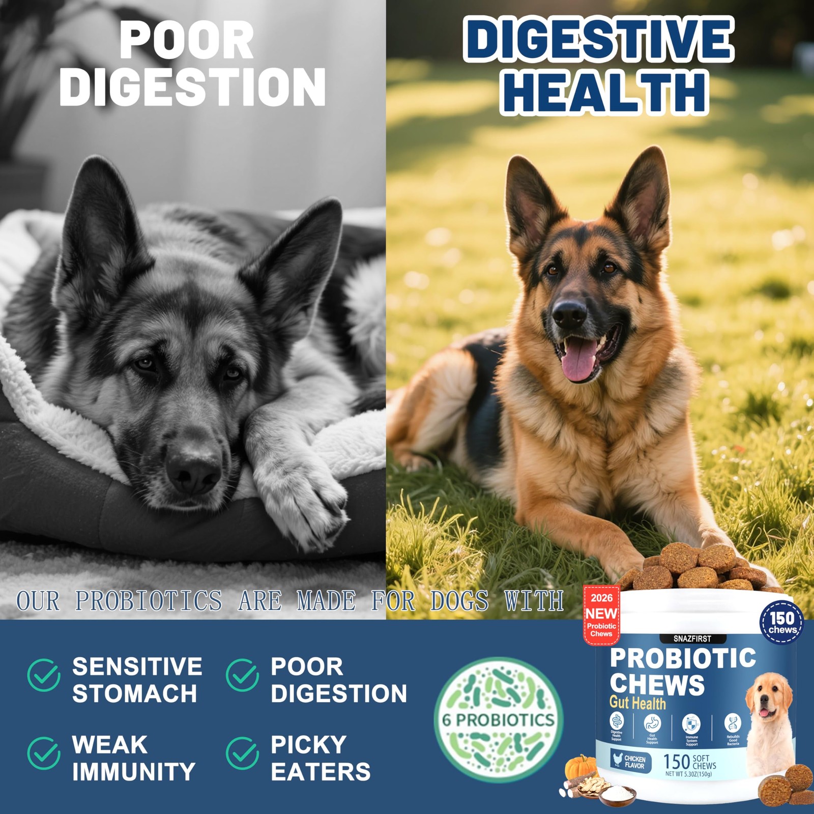 SnazFirst Probiotics for Dogs, Dog Chews 150 CHEW, Brown