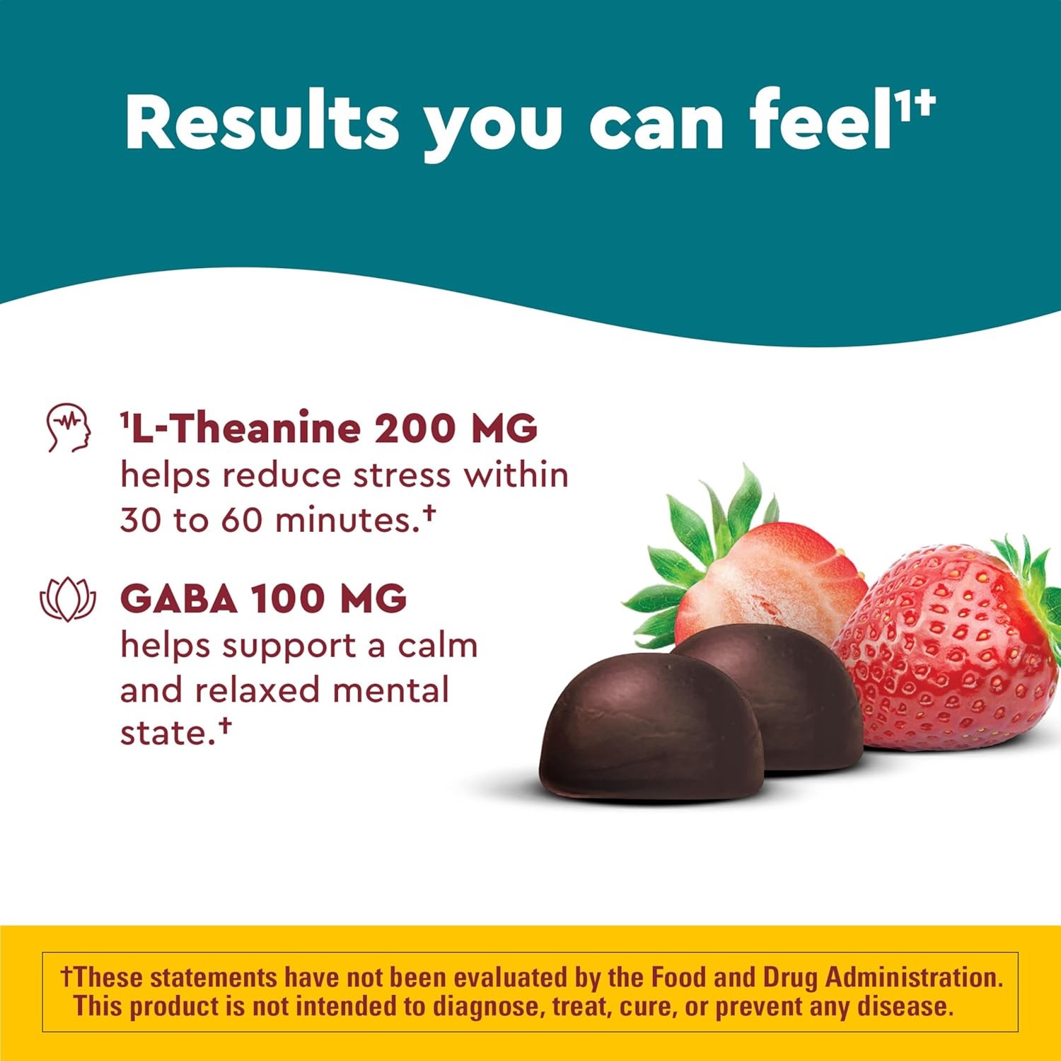 Nature Made Wellblends L Theanine Stress Relief Gummies 200mg Supplements