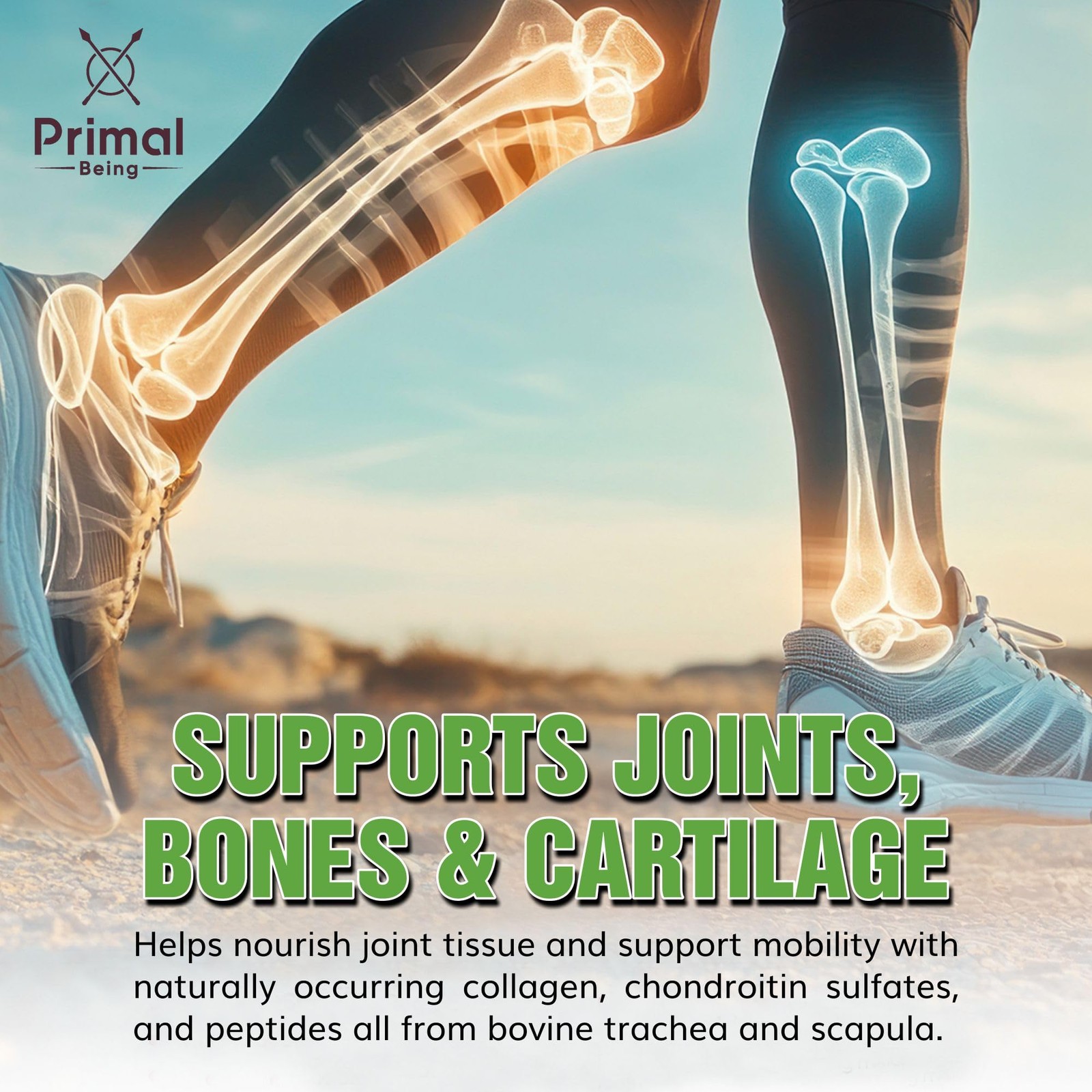 Primal Being Grassfed Beef Cartilage Collagen (Type I-V & 1 Count (Pack of 1)