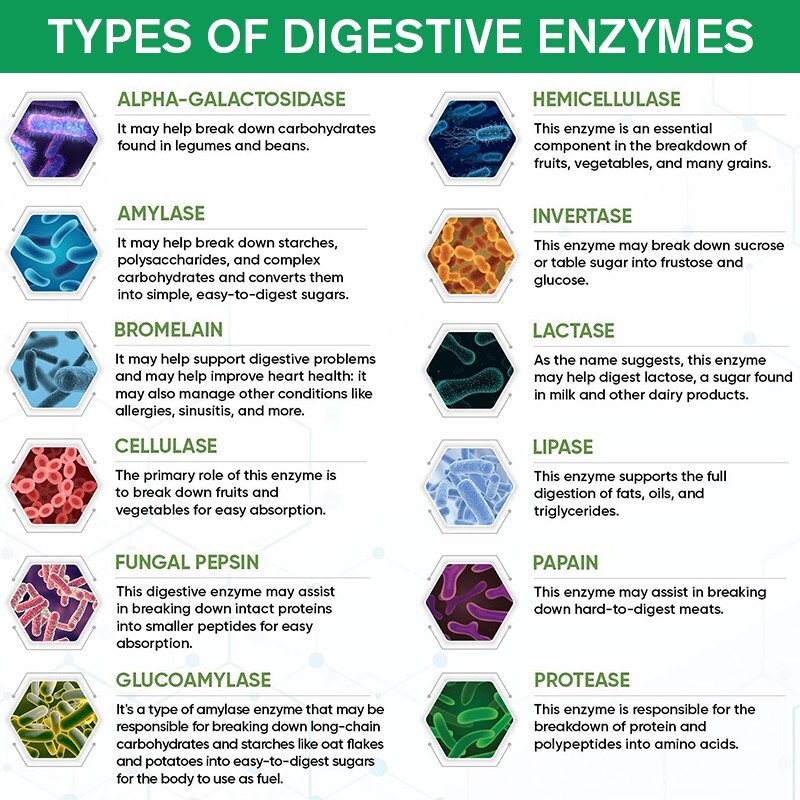 Digestive Enzymes Prebiotic & Probiotics Gas, Constipation & Bloating Relief 120