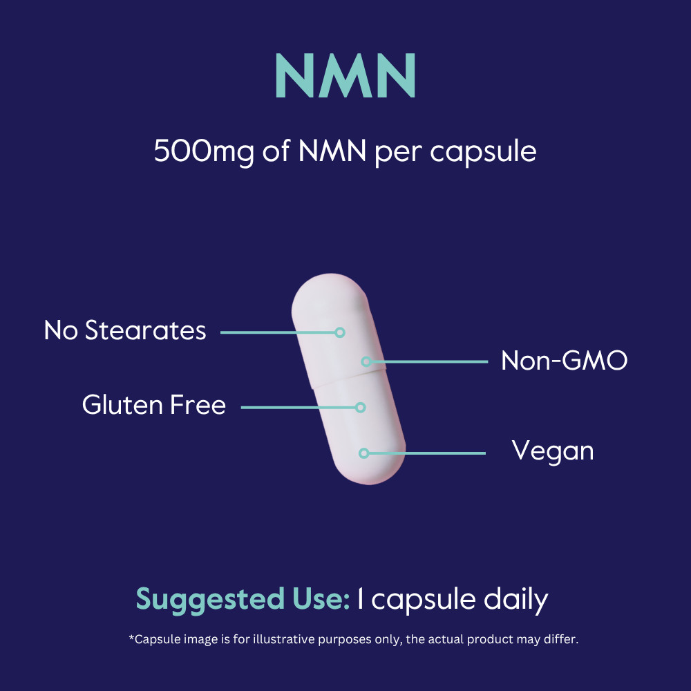 BESTVITE NMN 500mg (60 Veg Caps) (Nicotinamide Mononucleotide)