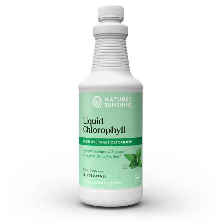 Nature’s Sunshine Liquid Chlorophyll 16 oz Digestive Detox Free Shipping