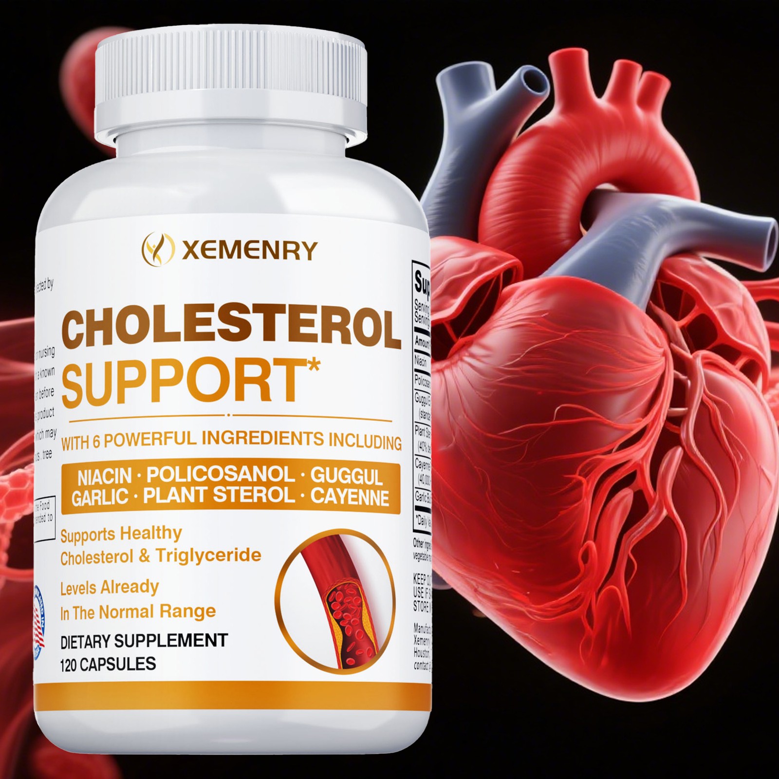 Cholesterol Support – Balance Cholesterol Supplement High Cholesterol Lowering