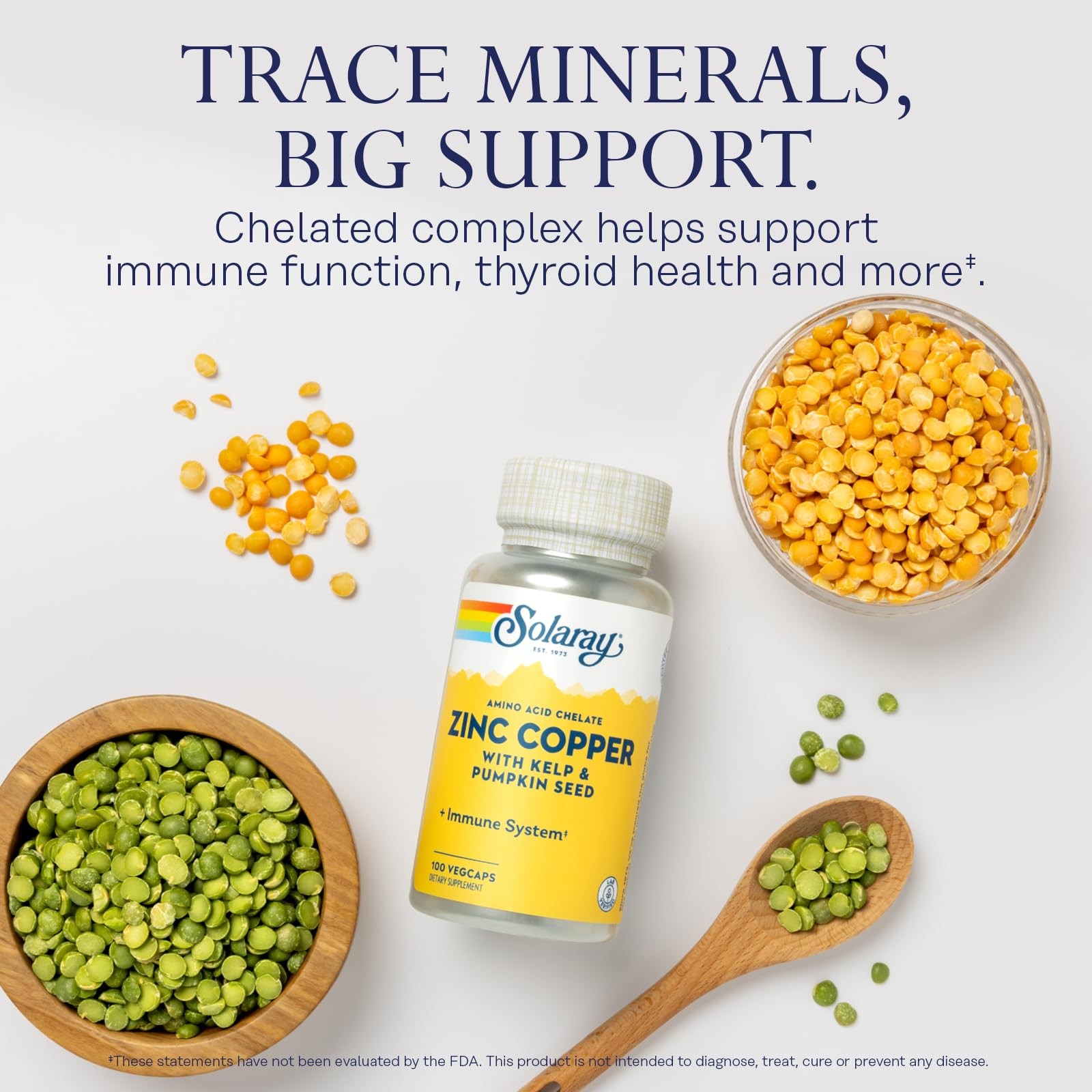 SOLARAY Zinc Copper Amino Acid Chelate Immune Support Supplement 100 VegCaps