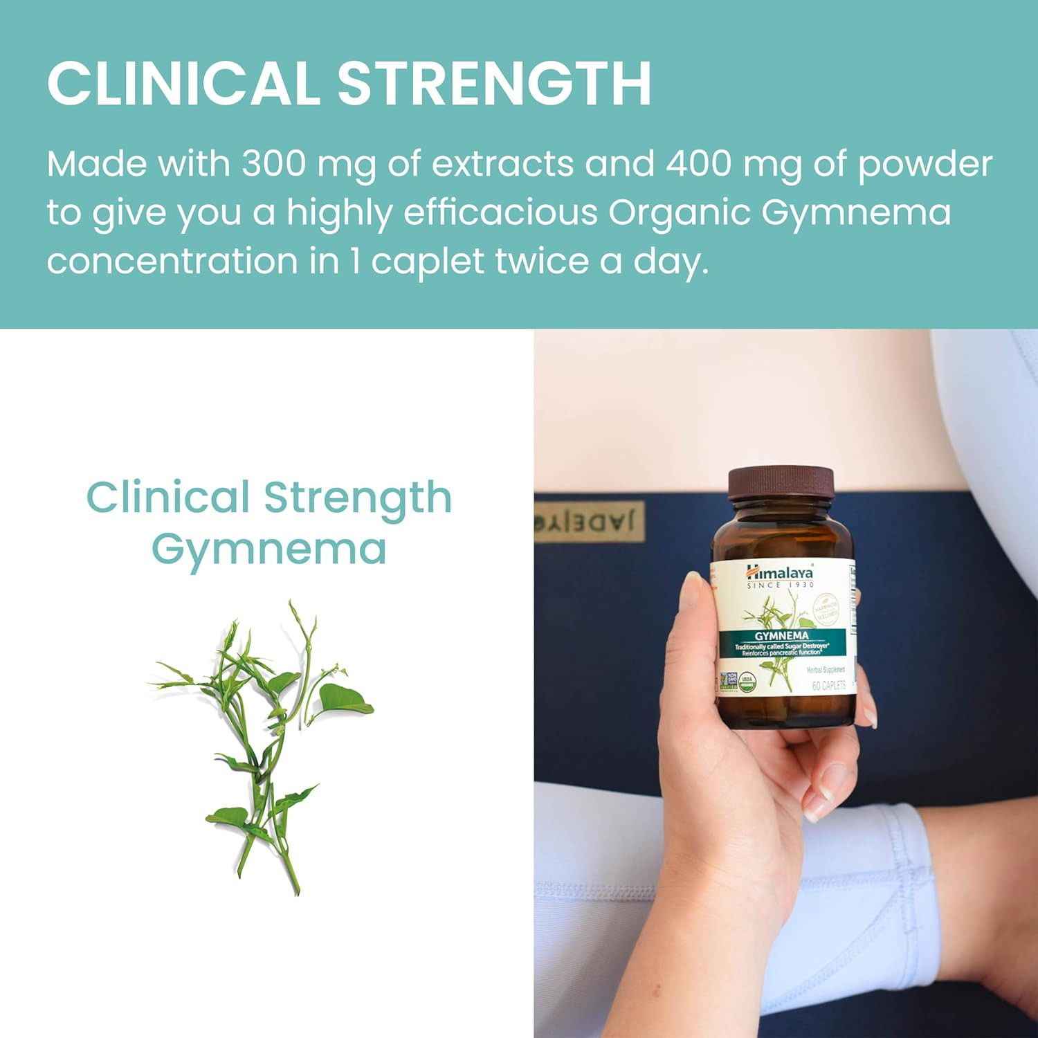 USDA Organic Gymnema Sylvestre Extract 700Mg,Gymnema Sylvestre Supplements,Herba