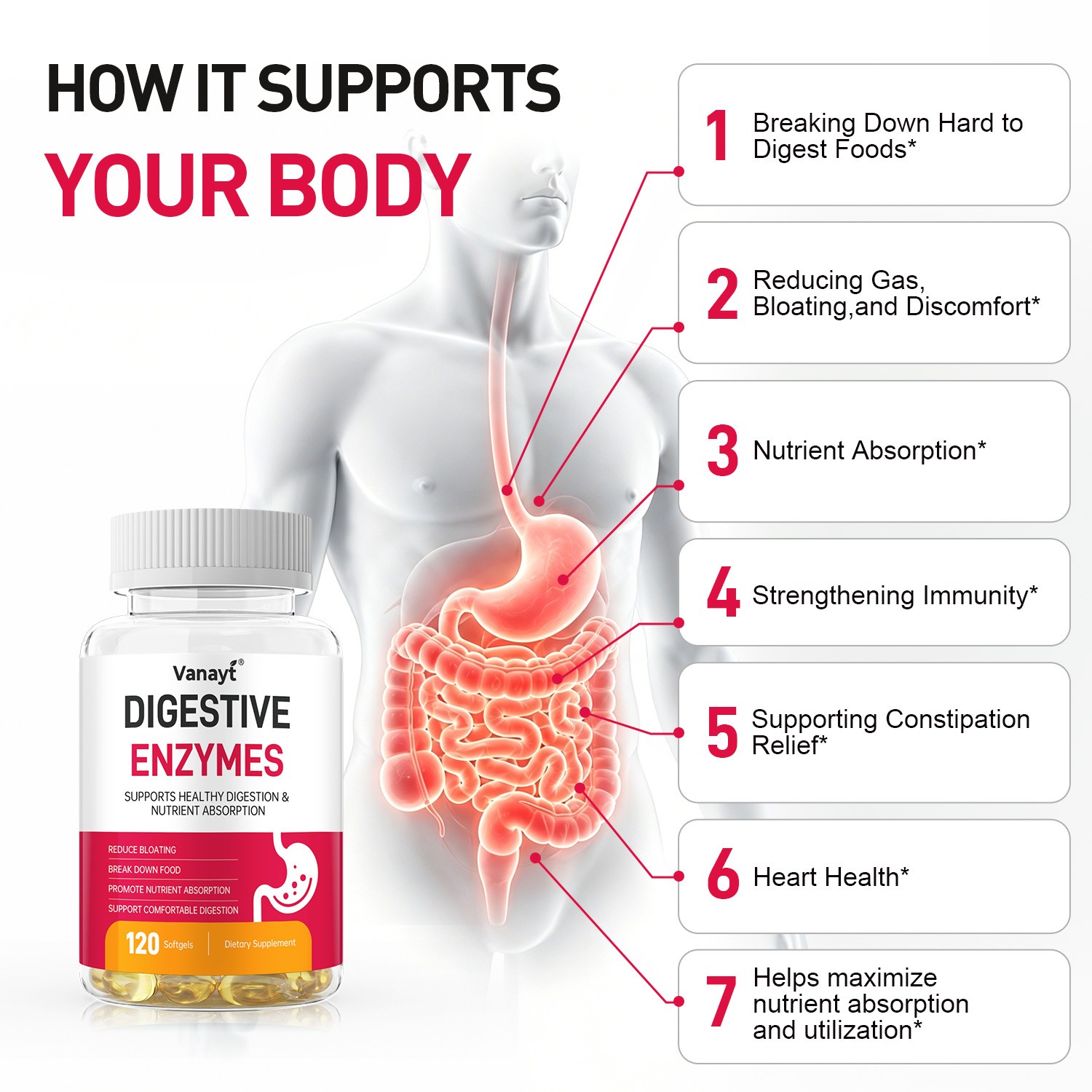 Digestive Enzymes w/ Prebiotic & Probiotics, Gas, Constipation & Bloating Relief
