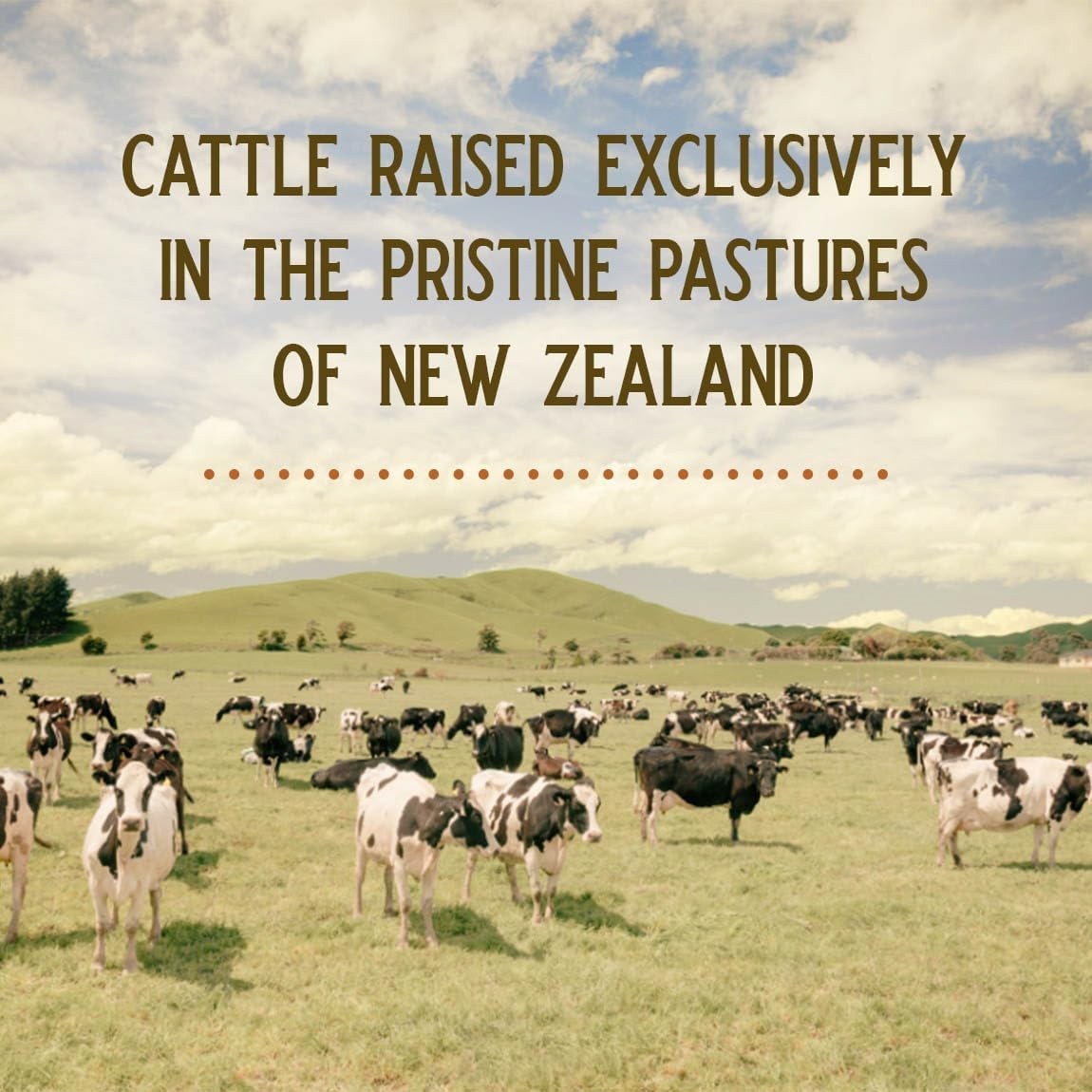 Grass Fed Beef Liver from New Zealand – Freeze Dried 3000mg per Serving