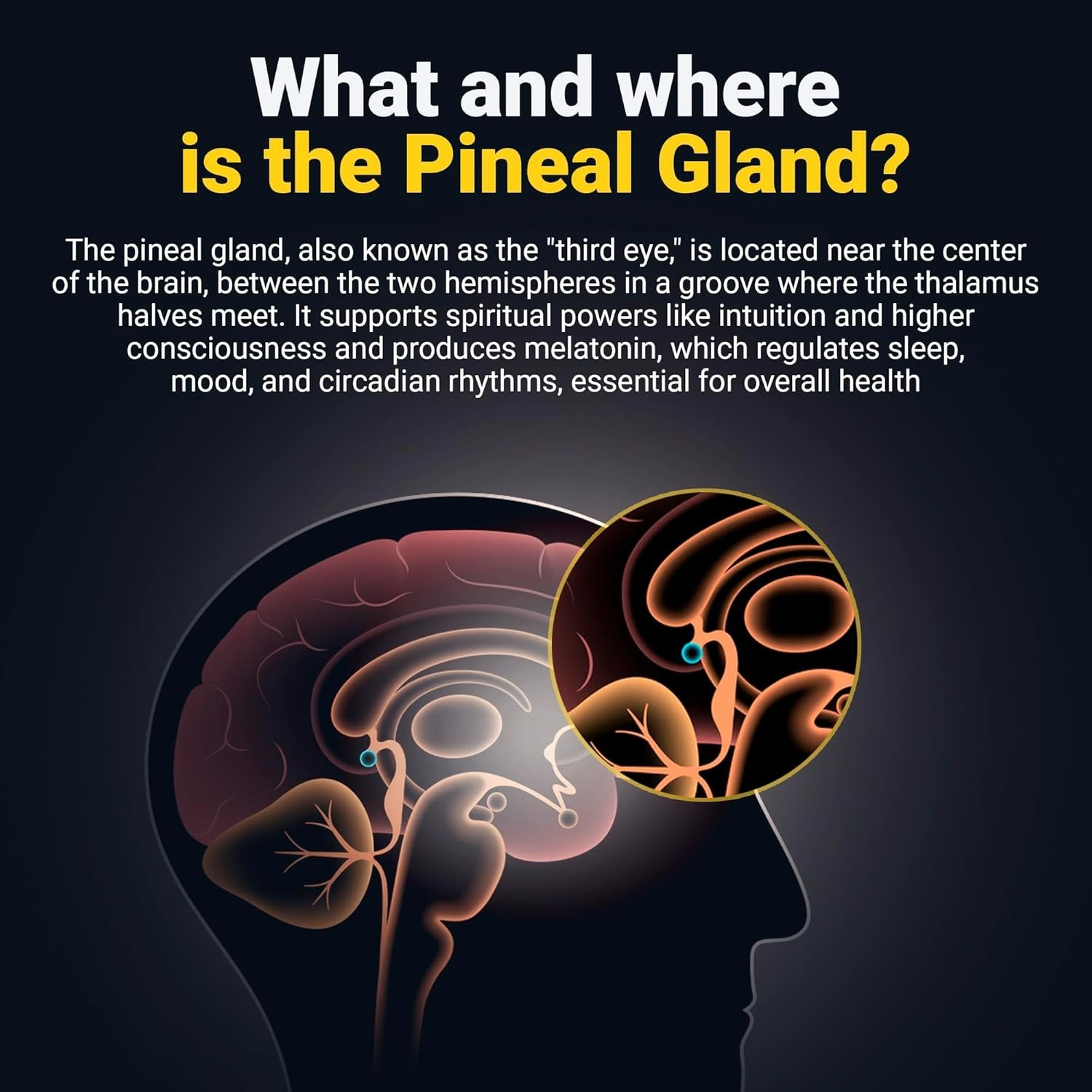 Pineal Gland Activation Supplement – Supports Decalcification, Third Eye Awak…