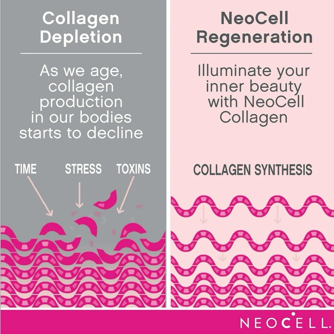NeoCell Super Collagen Peptides Powder Berry Lemon 6.7 Oz