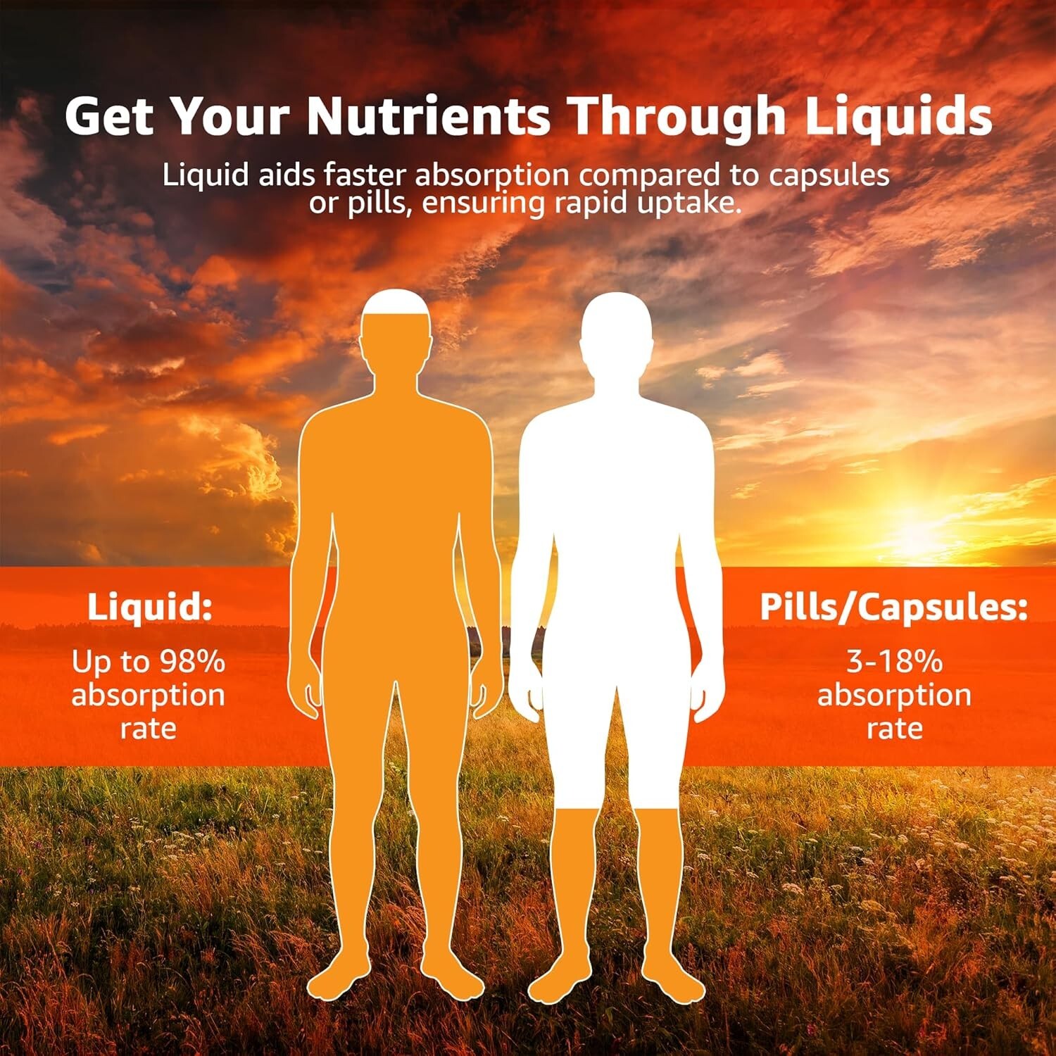 km, Liquid Potassium Supports, Mineral Supplement – 32 fl oz, pH Blood Balance
