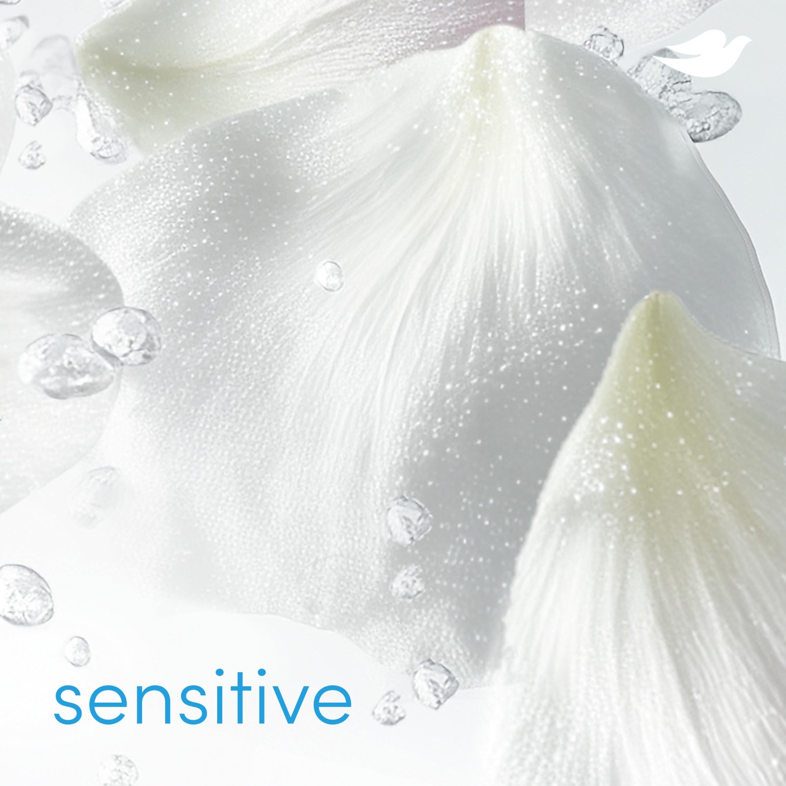 Dove Deodorant Stick Sensitive for 72 Hour Odor 2.4 Ounce (Pack of 1), Blue