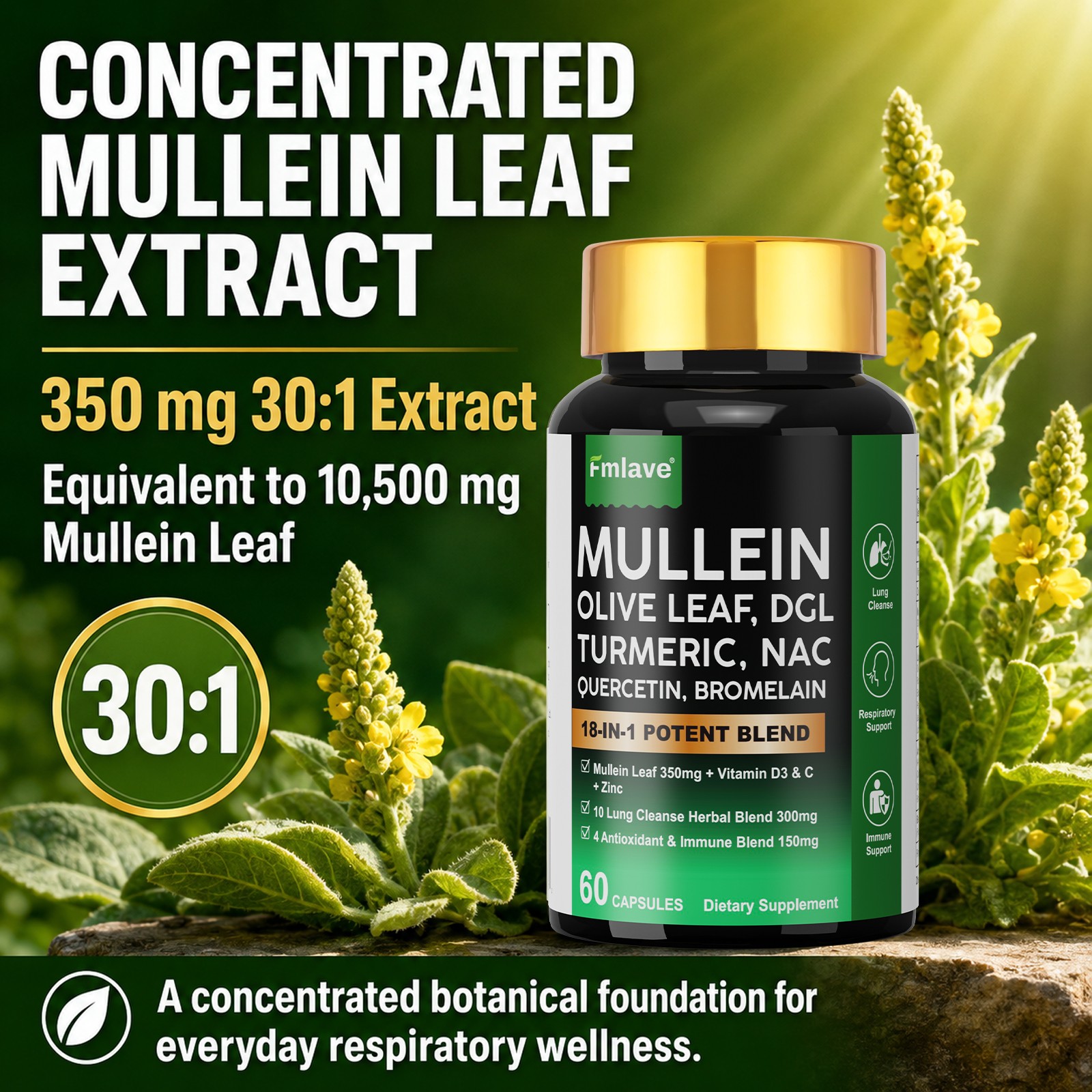 Mullein Lung Cleanse – Herbal Lung Detox & Cleanse for Respiratory Lung Health