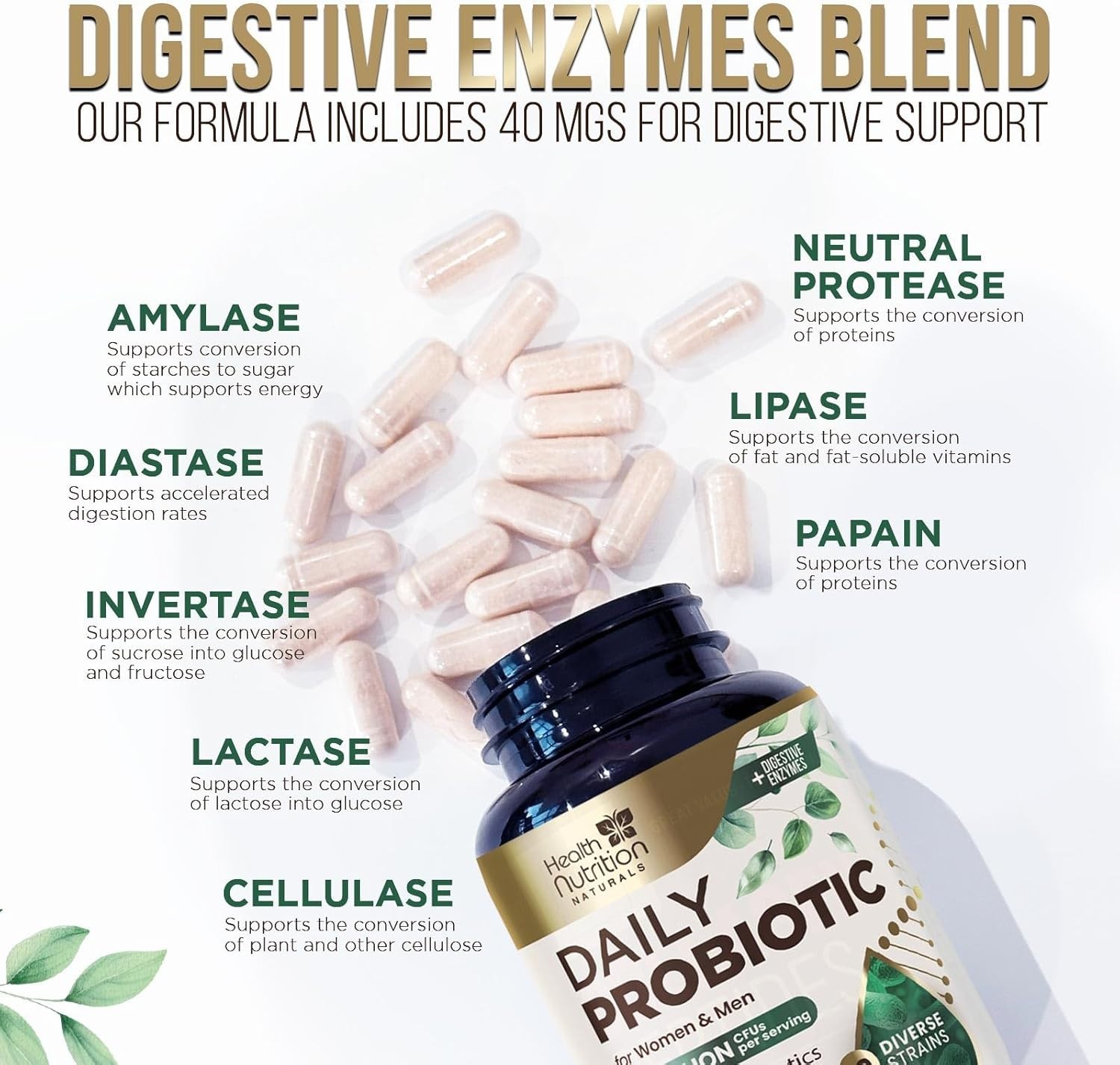 Probiotics 60 Billion CFU + 10 Strains – Daily Probiotic Lactobacillus Blend Gut