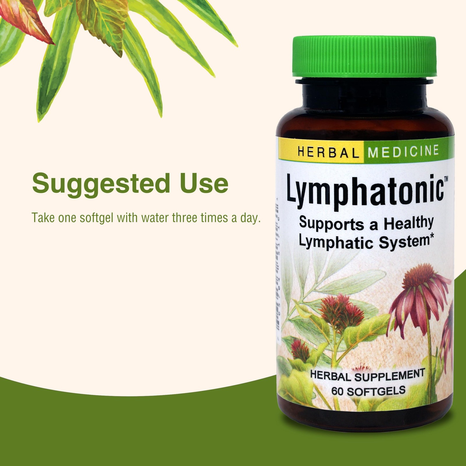 Herbs Etc. Lymphatonic Softgels – Lymph System Support – 60 Count (Pack of 2)