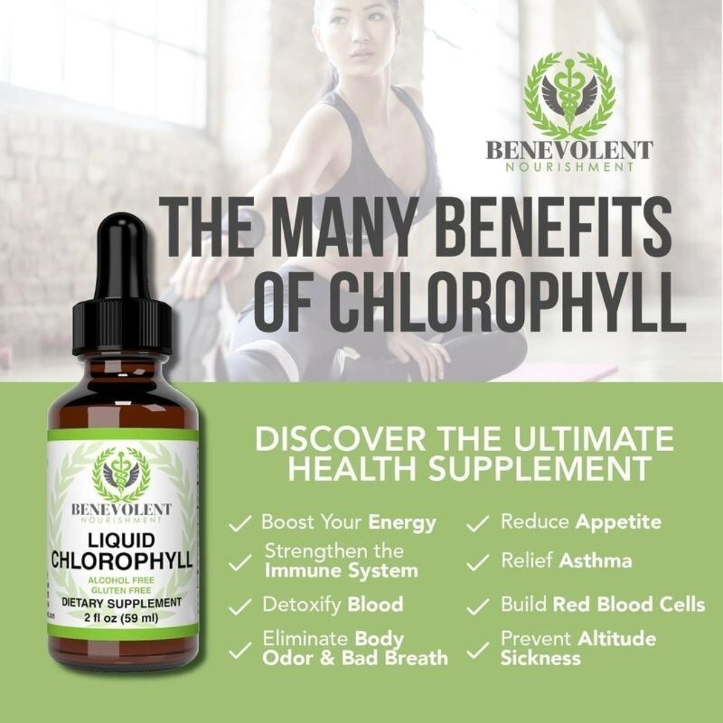NEW Benevolent Nourishment Liquid Chlorophyll Drops Herbal Supplement 2 fl oz