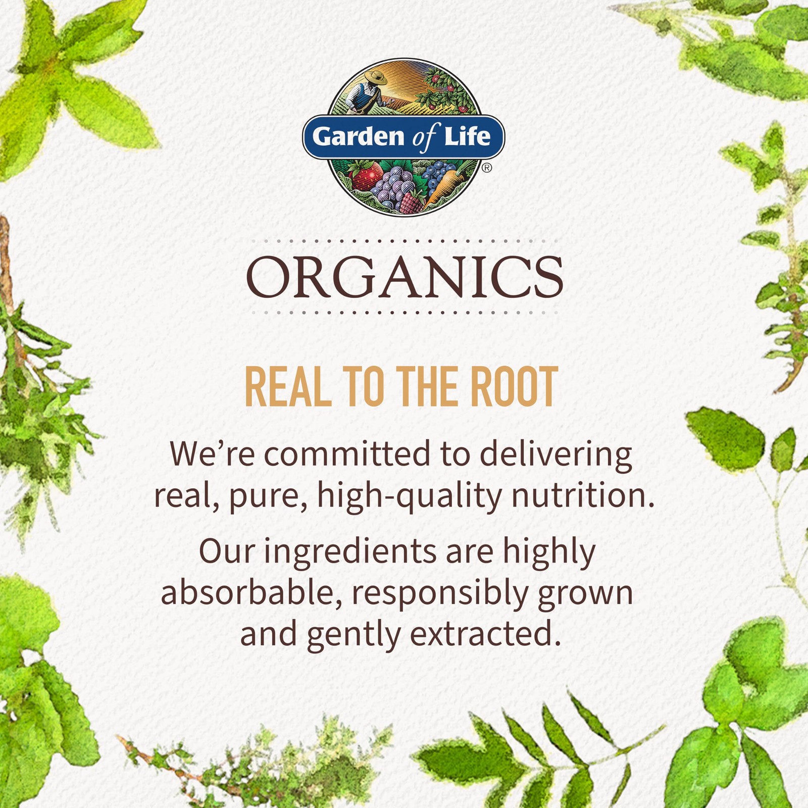 11/26 Garden of Life Organics Men 40+ Gummy Vitamins – Berry – Certified Organic