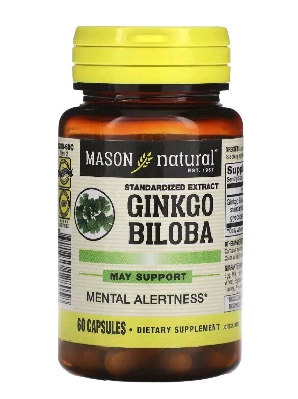 3 Pack Mason Natural – Ginkgo Biloba,*09/2027* Standardized Extract, 3 x 60 =180