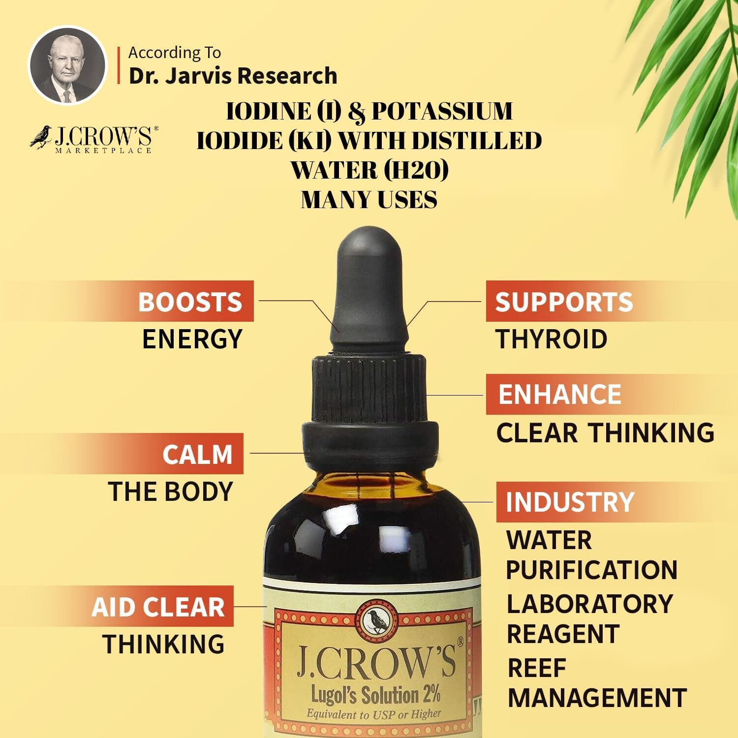 J.CROW’S Lugol’s Solution Iodine 2 Percent Thyroid Support and Energy 2 fl oz