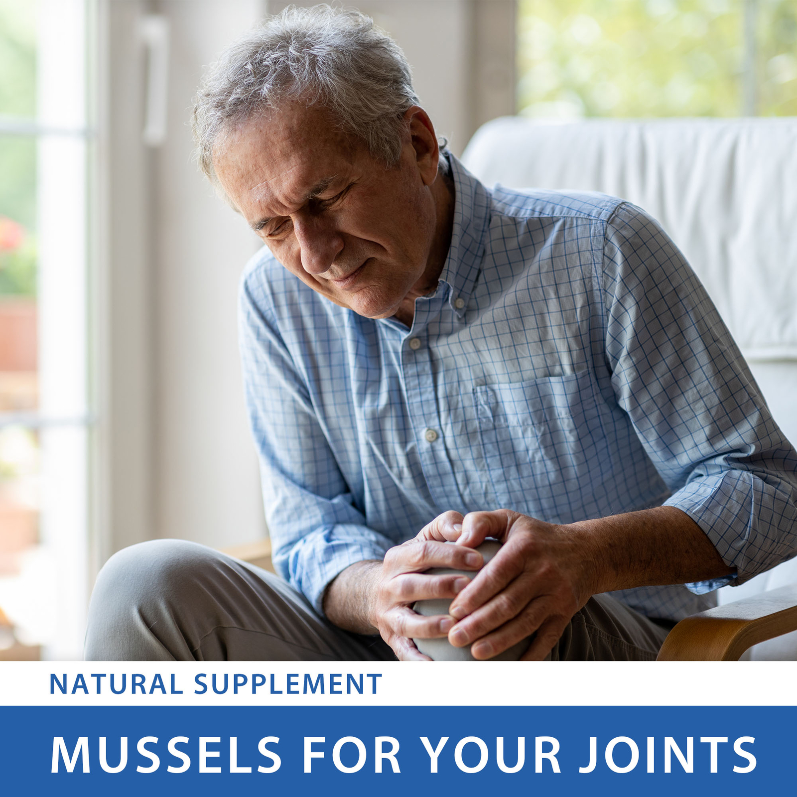 Joint & Muscle Support – Green-Lipped Mussel, Relieve Pain and Inflammation