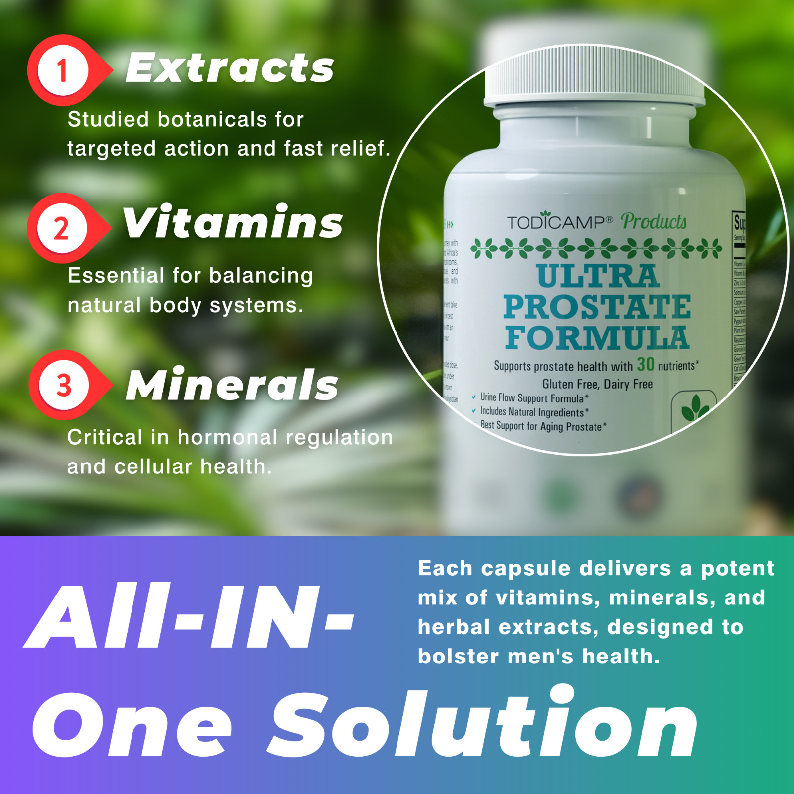 Prostate Support Supplement with Saw Palmetto Extract by Todicamp Products