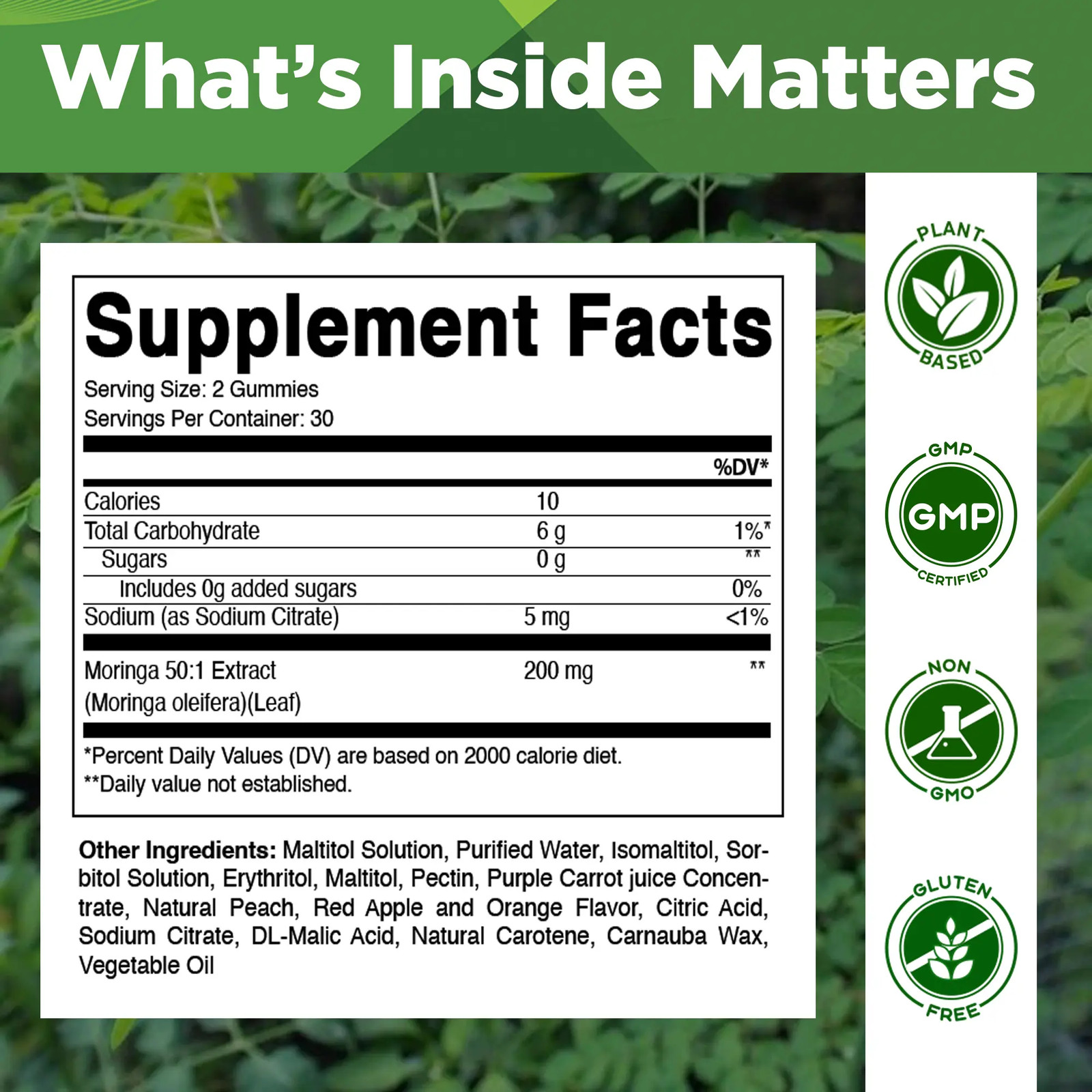 60 Count Pectin-Based Sugar Free Moringa Chew Gummies Daily Wellness