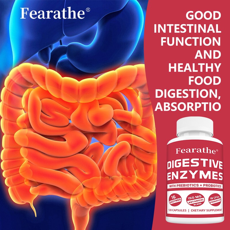 Gut Health Supplements Digestive Enzymes 120 Capsules Digestive System Health