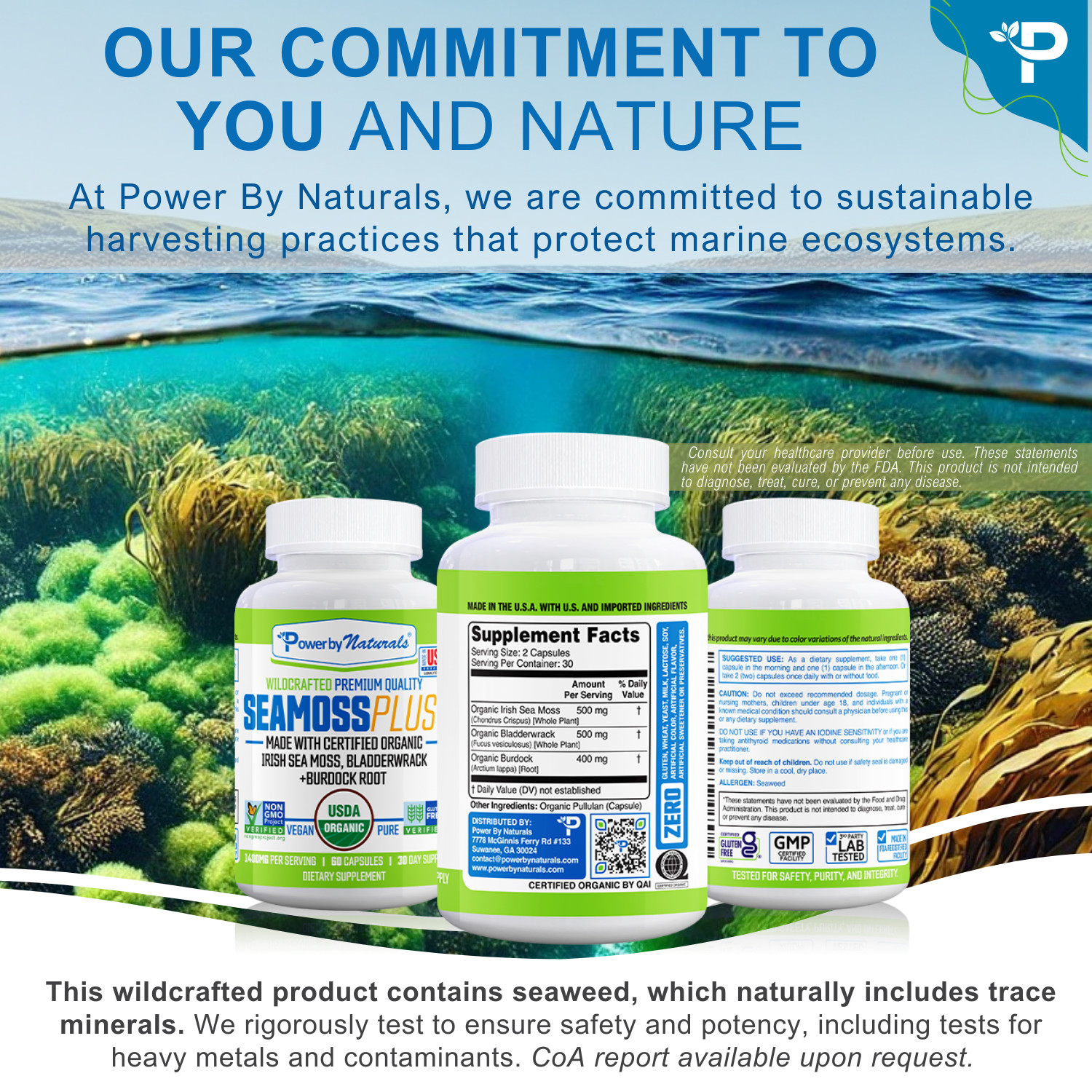 Certified Organic Sea Moss Bladderwrack Burdock Root Capsules | 60 SeaMoss Pills