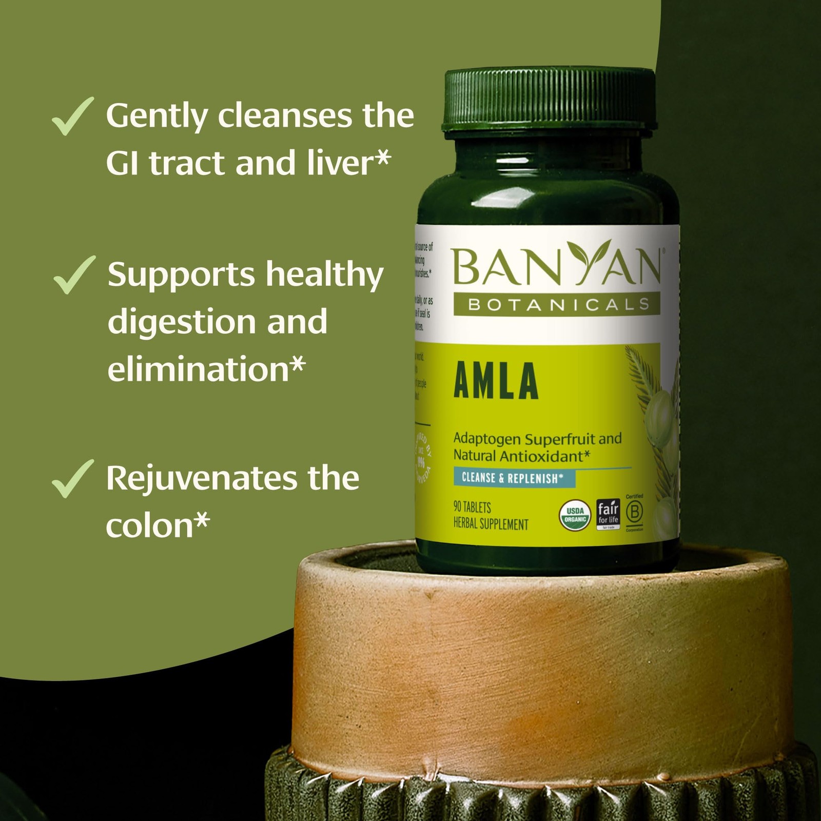 Banyan Botanicals Organic Amla Tablets – Natural Vitamin 90 Count (Pack of 1)