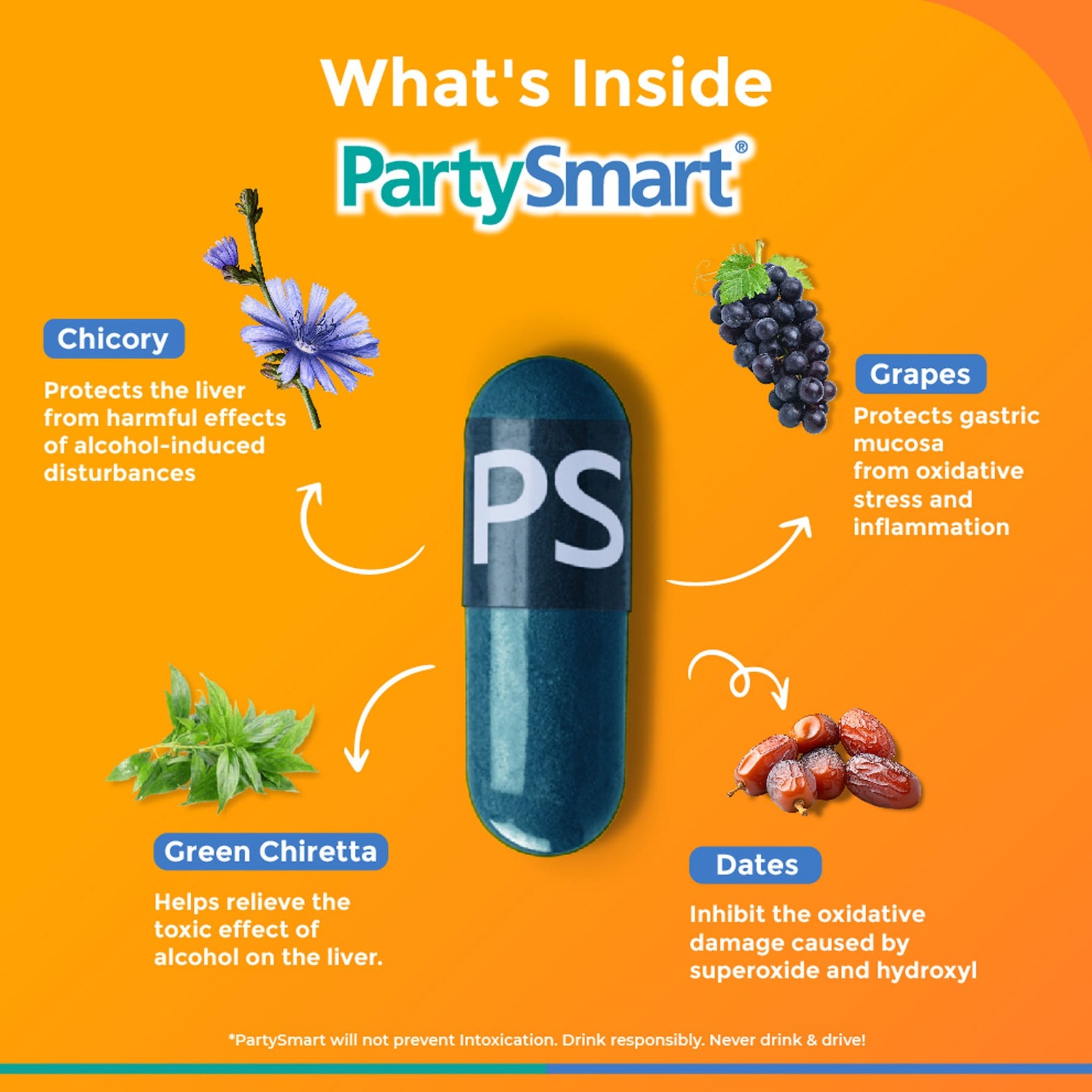 PartySmart Capsules Herbal Wellness Support | Next Day Recovery Formula | 10Ct