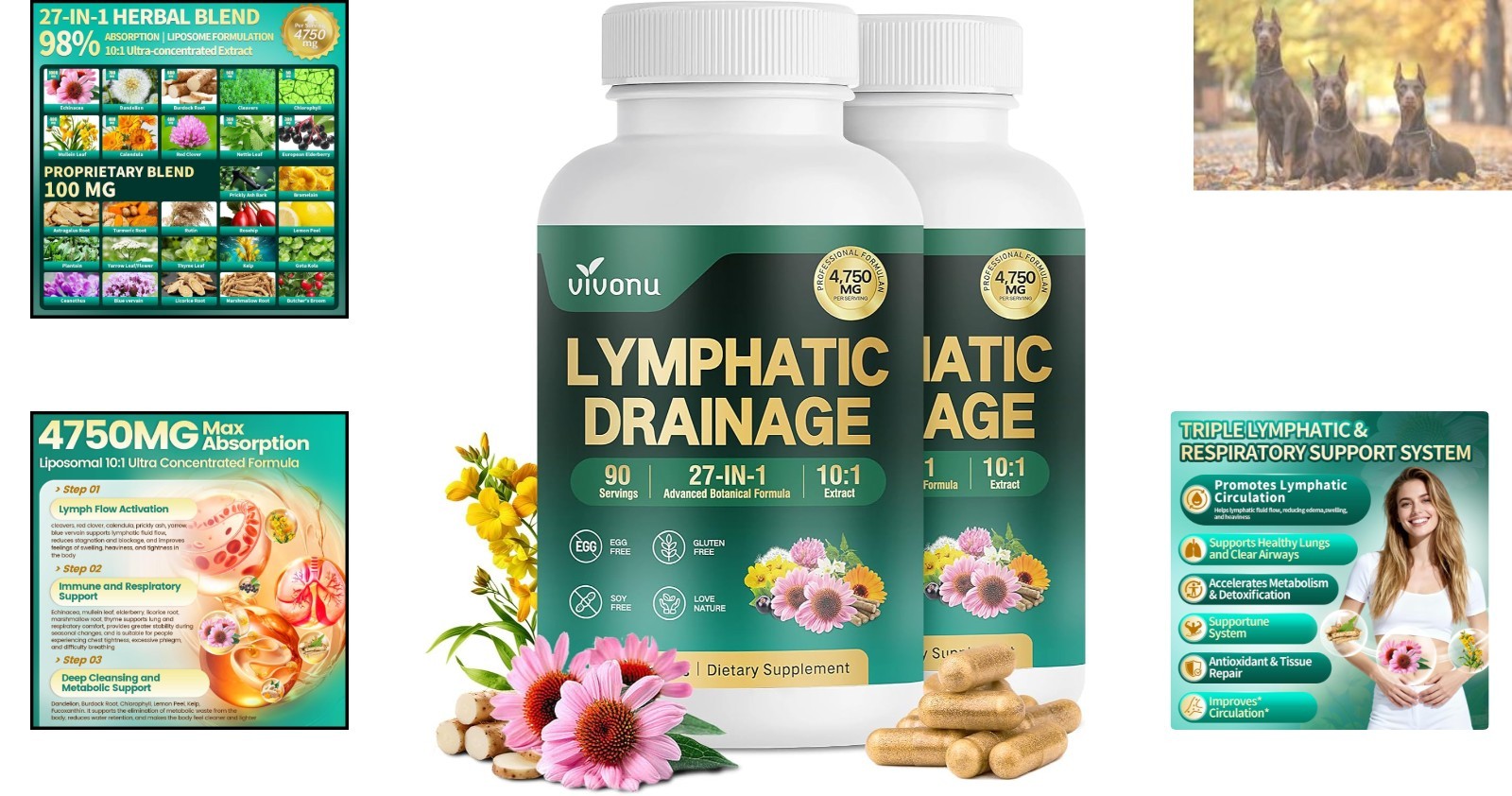 Natural 27-in-1 Lymphatic Support with Mullein & Burdock – High Potency Formula