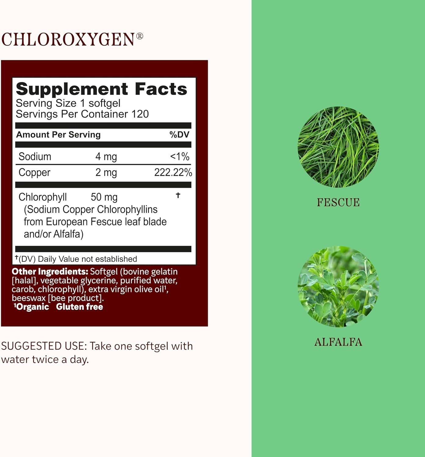 ChlorOxygen Chlorophyll Softgels – Skin & Gut Support