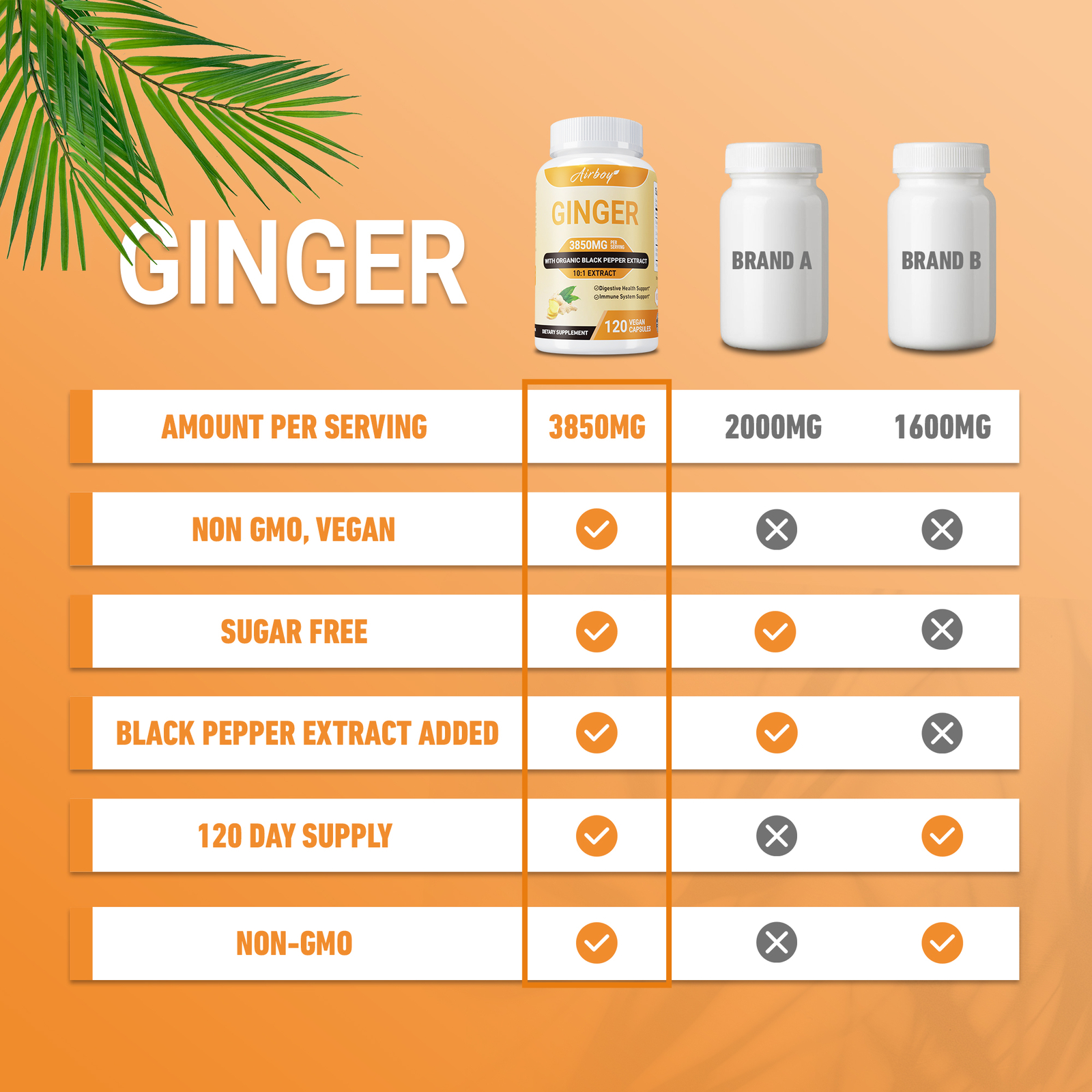 Organic Ginger 3850mg – Digestion, Nausea, Stomach Settler, Non-GMO, Gluten Free