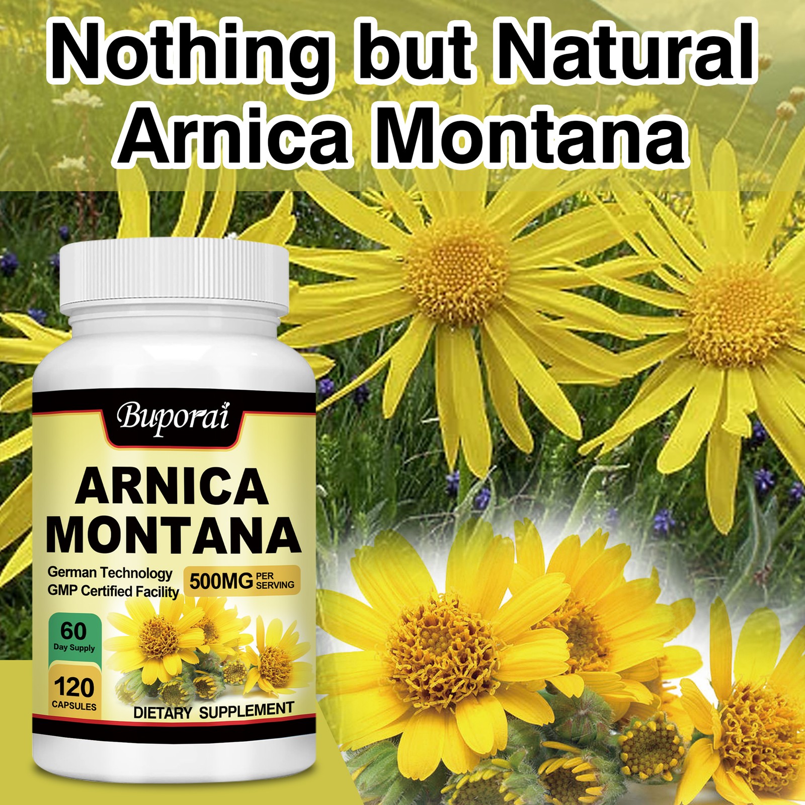Arnica Montana 500mg -High Potency,Pain,Bruises Relief,Anti-Inflammatory Support