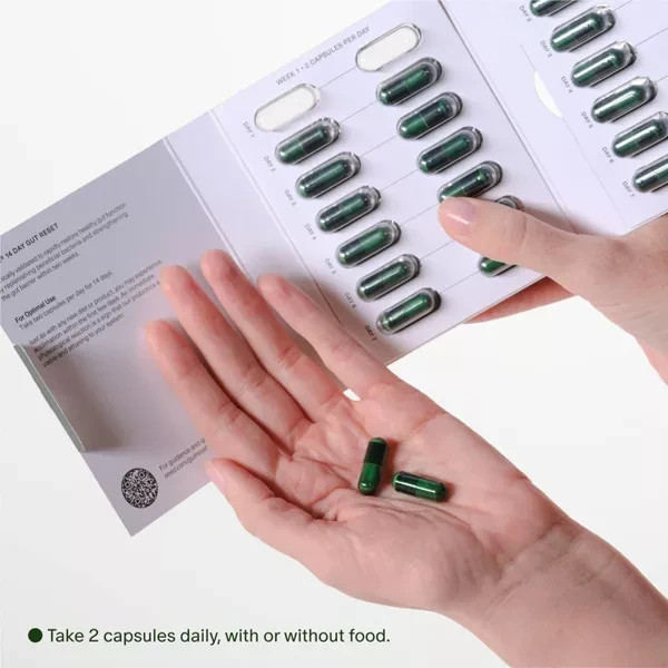 Seed DS-01 Rapid Gut Recovery 14 Day Gut Reset w/ Probiotic Prebiotic Ships Free